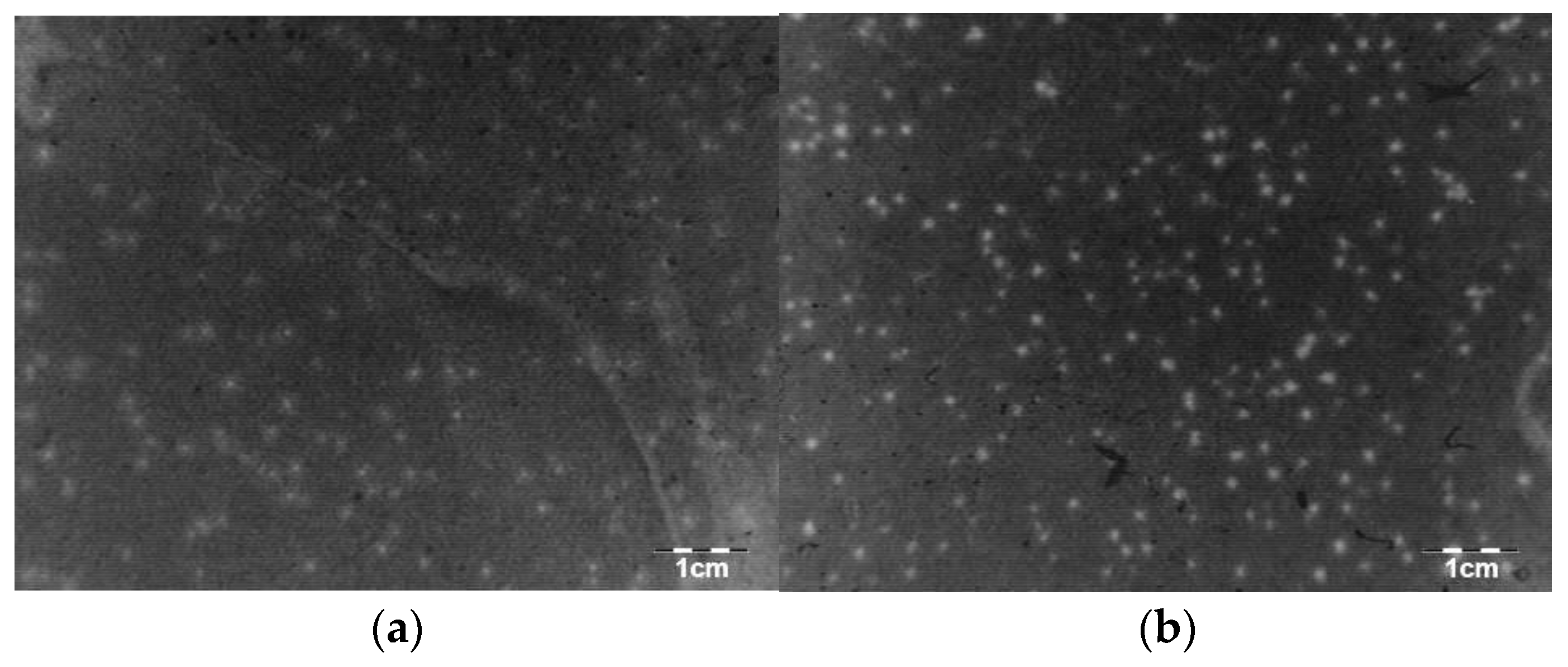 Viruses 15 00628 g001 Viruses 15 00628 g001