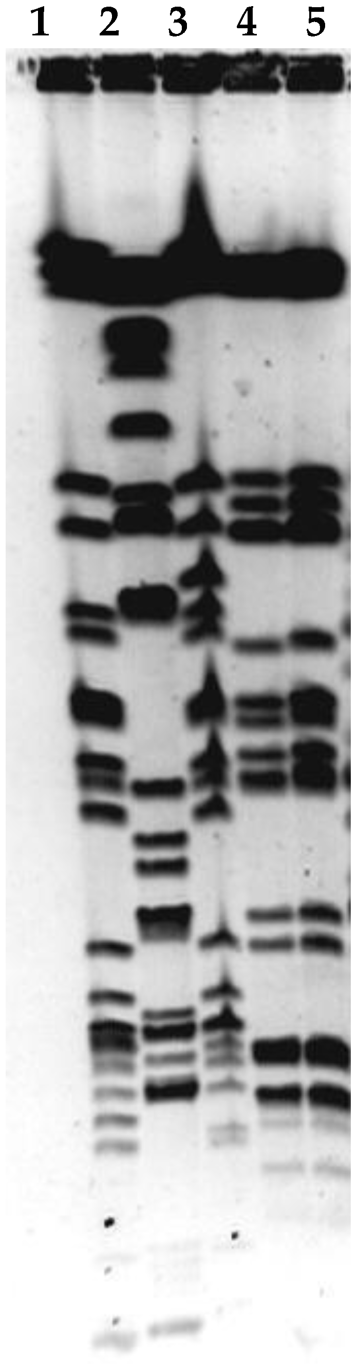 Viruses 15 00628 g003 Viruses 15 00628 g003