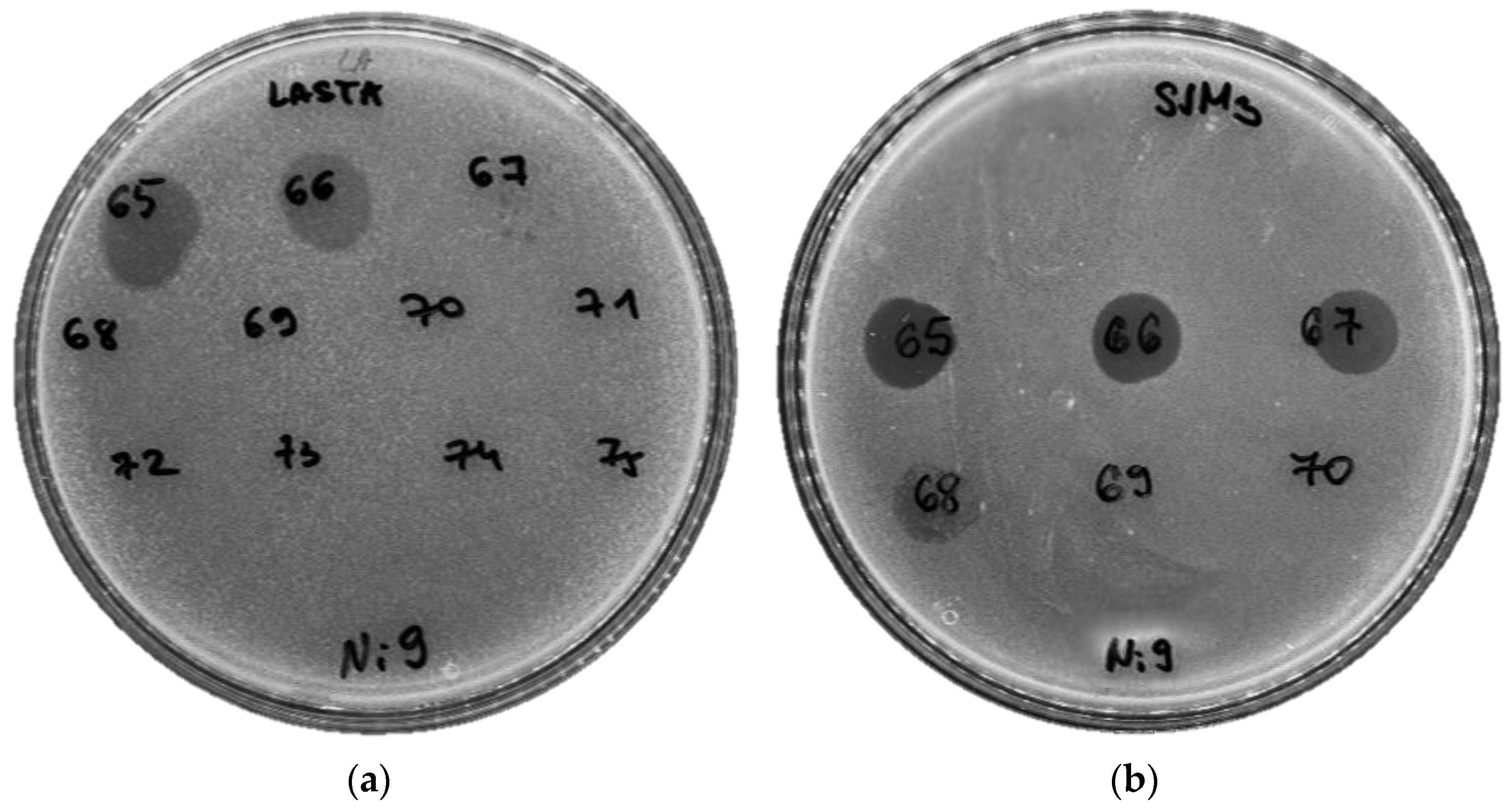 Viruses 15 00628 g006 Viruses 15 00628 g006