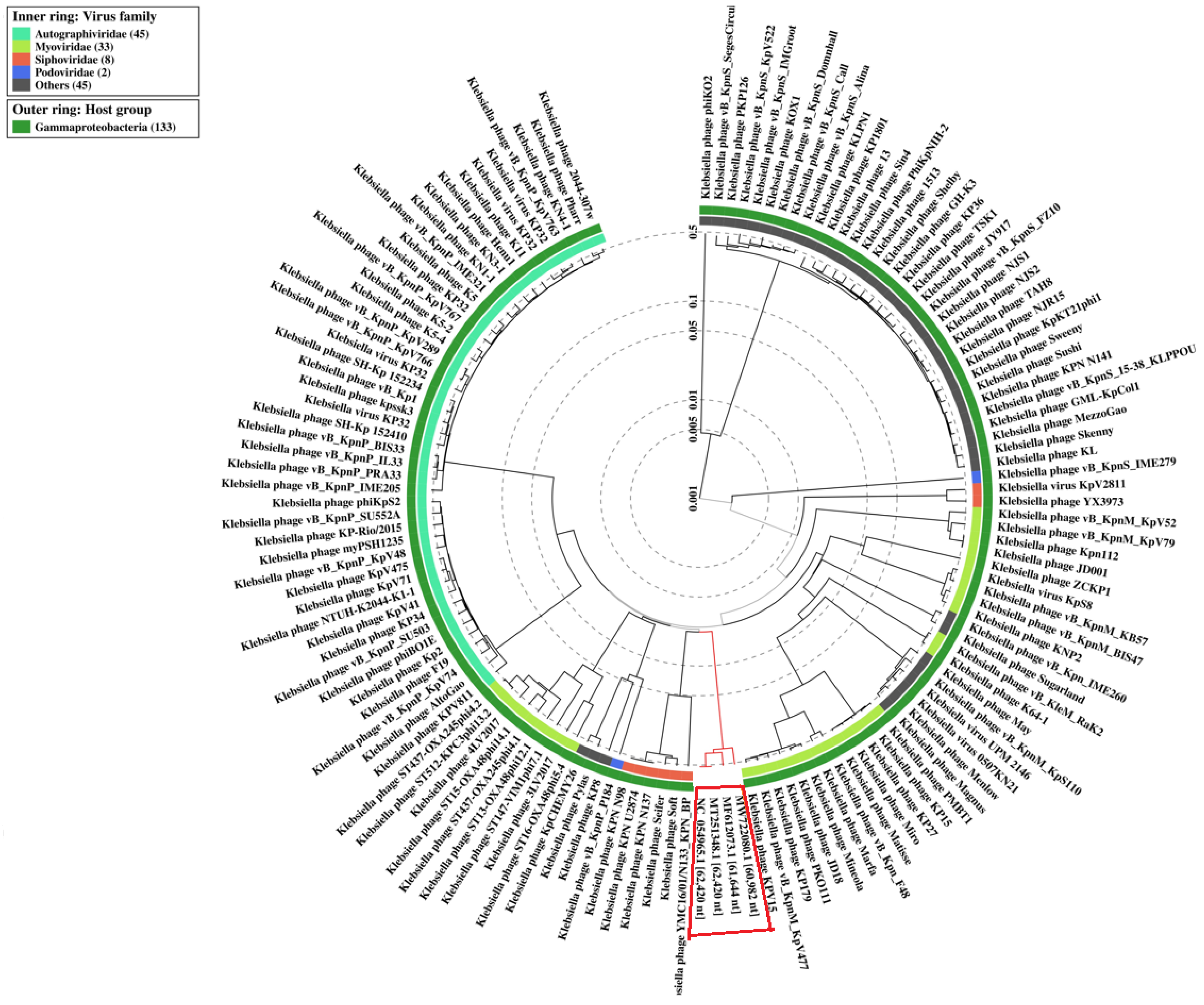 Viruses 15 00628 g012 Viruses 15 00628 g012
