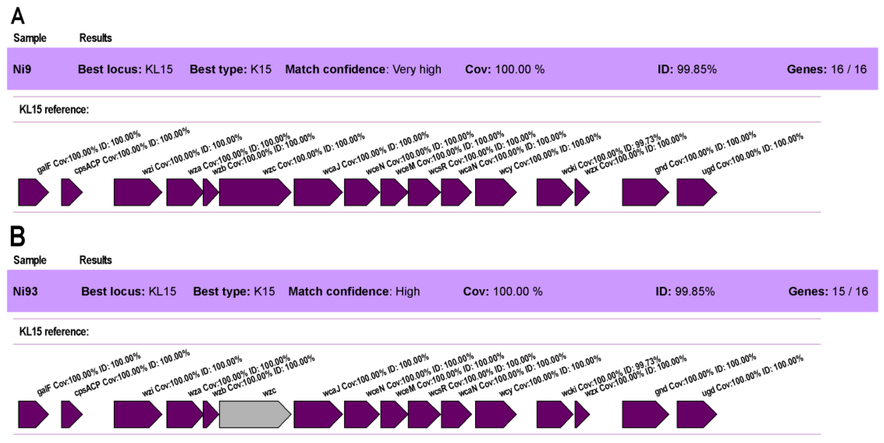 Viruses 15 00628 g013 Viruses 15 00628 g013