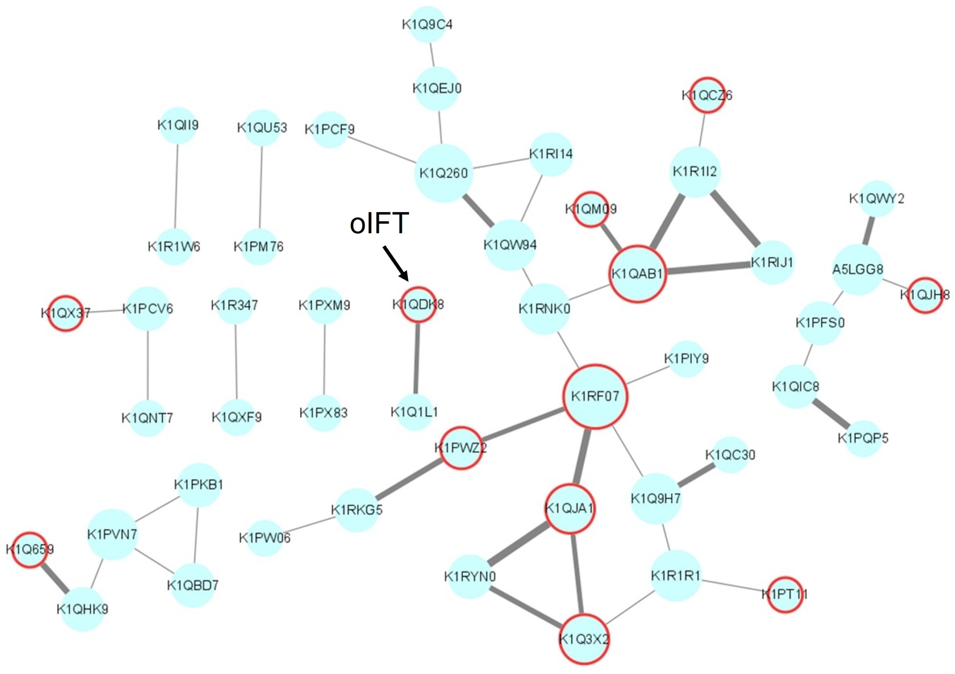 Viruses 15 00631 g003 Viruses 15 00631 g003