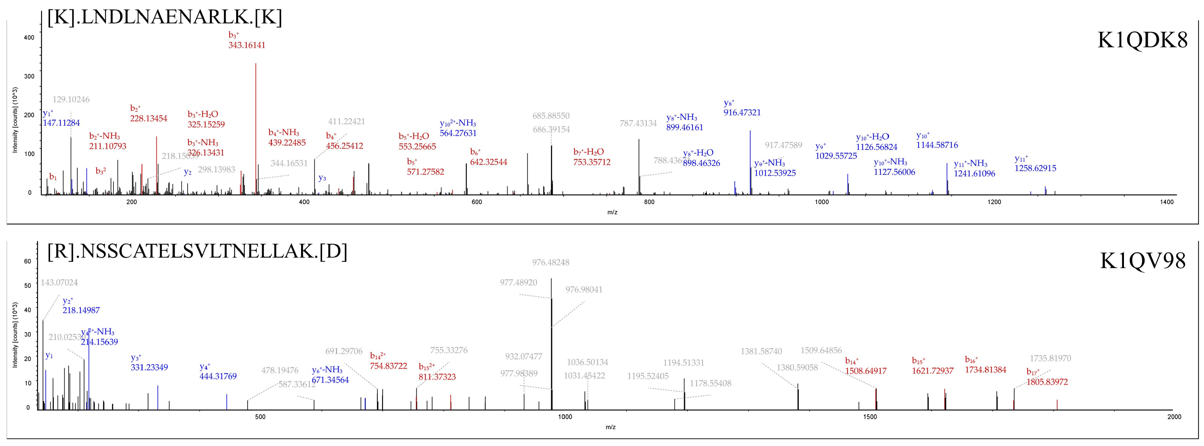 Viruses 15 00631 g004 Viruses 15 00631 g004