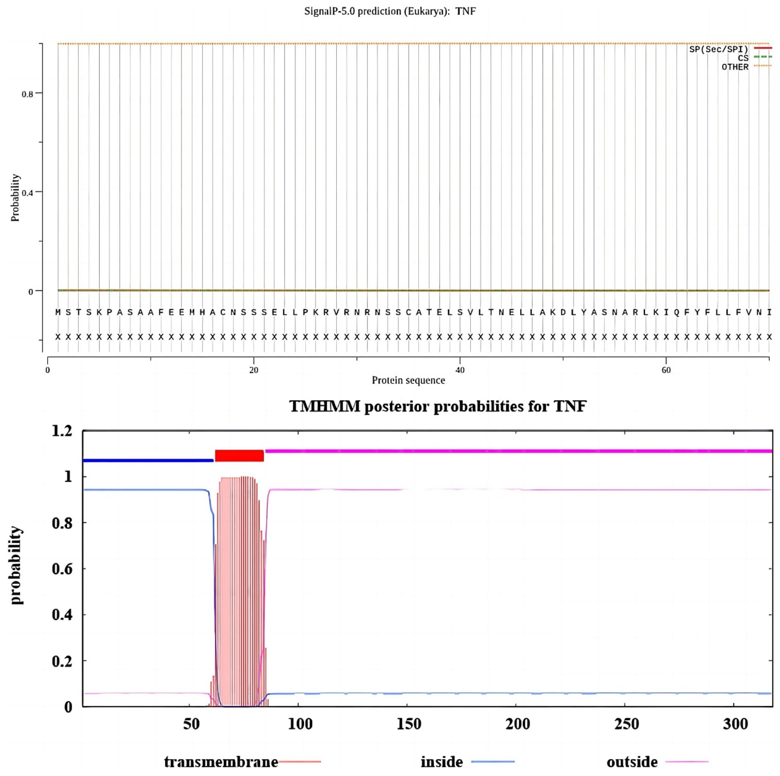 Viruses 15 00631 g0a1 Viruses 15 00631 g0a1