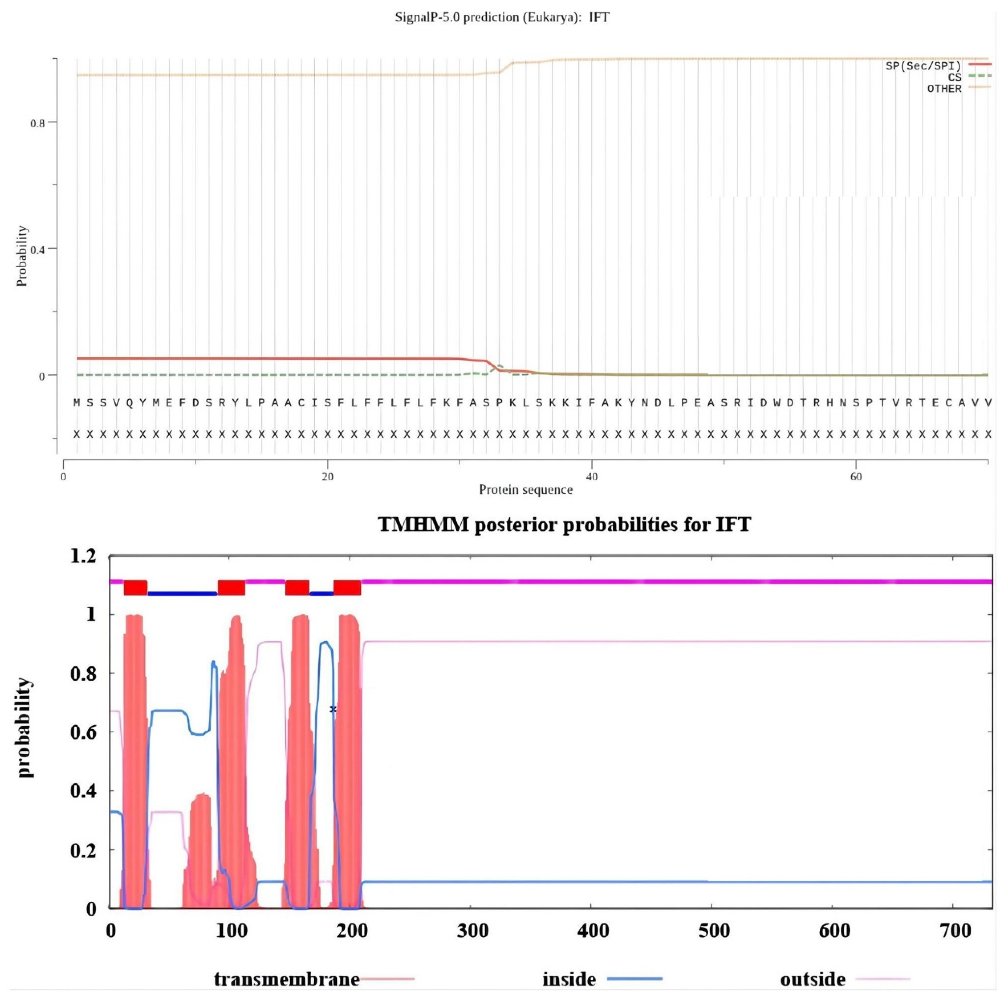 Viruses 15 00631 g0a2 Viruses 15 00631 g0a2
