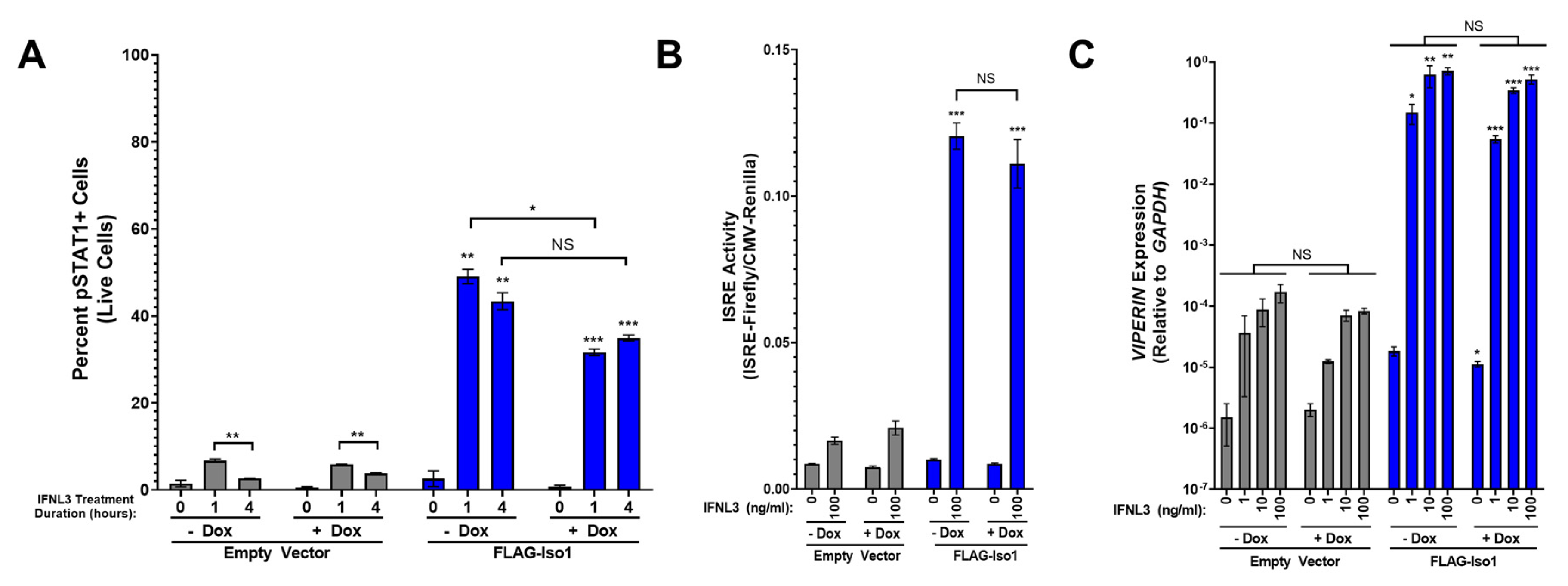 Viruses 15 00632 g003