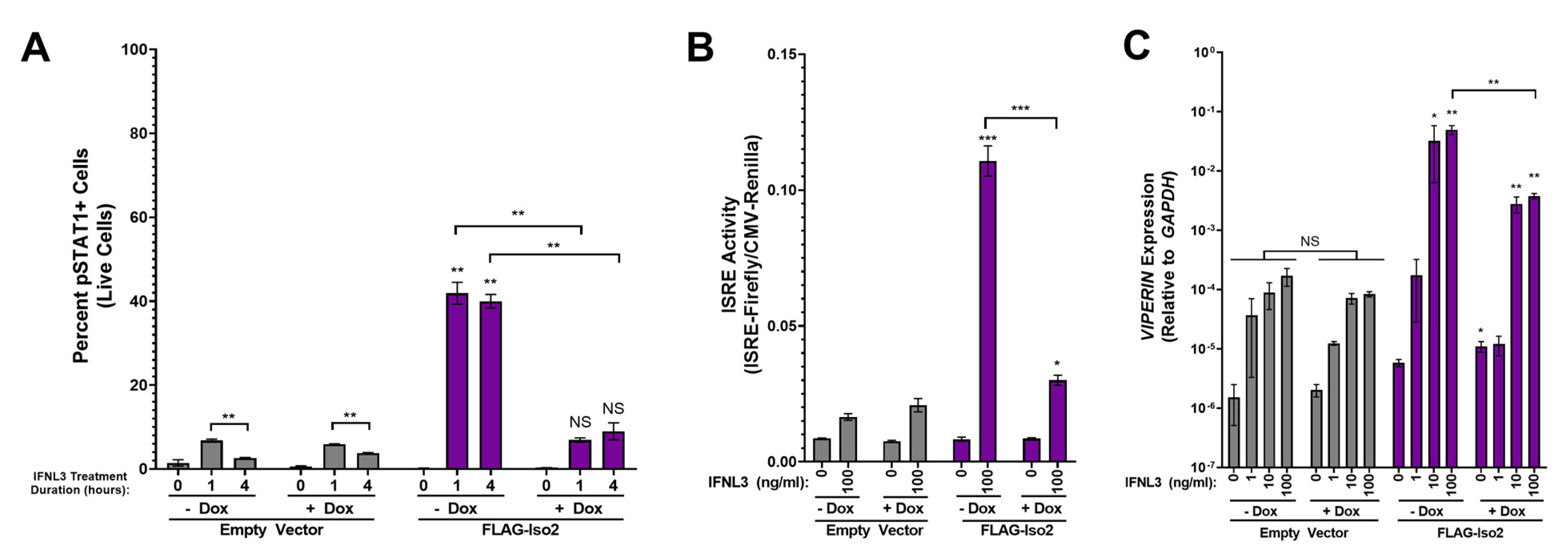Viruses 15 00632 g004