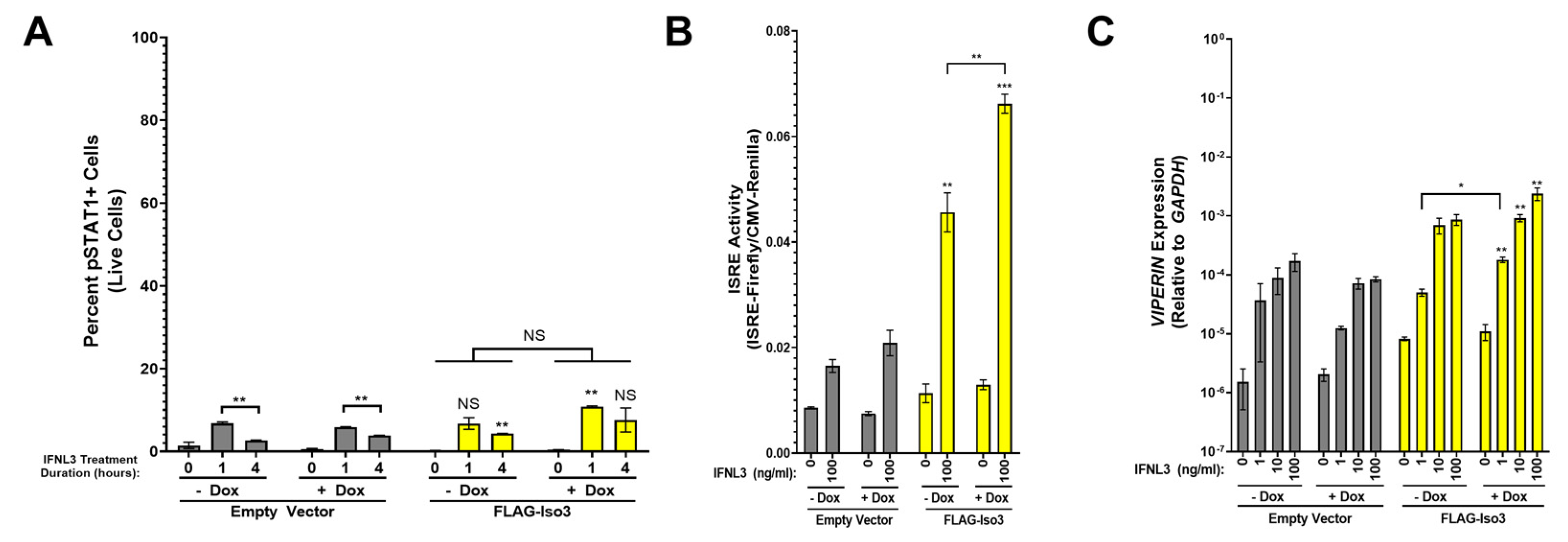 Viruses 15 00632 g006