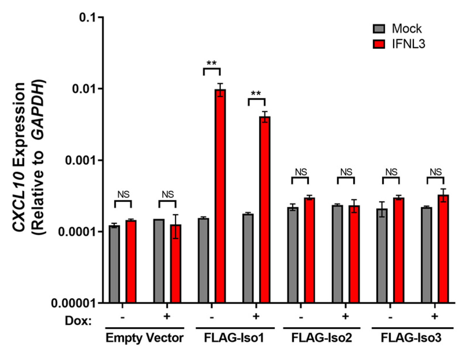 Viruses 15 00632 g007