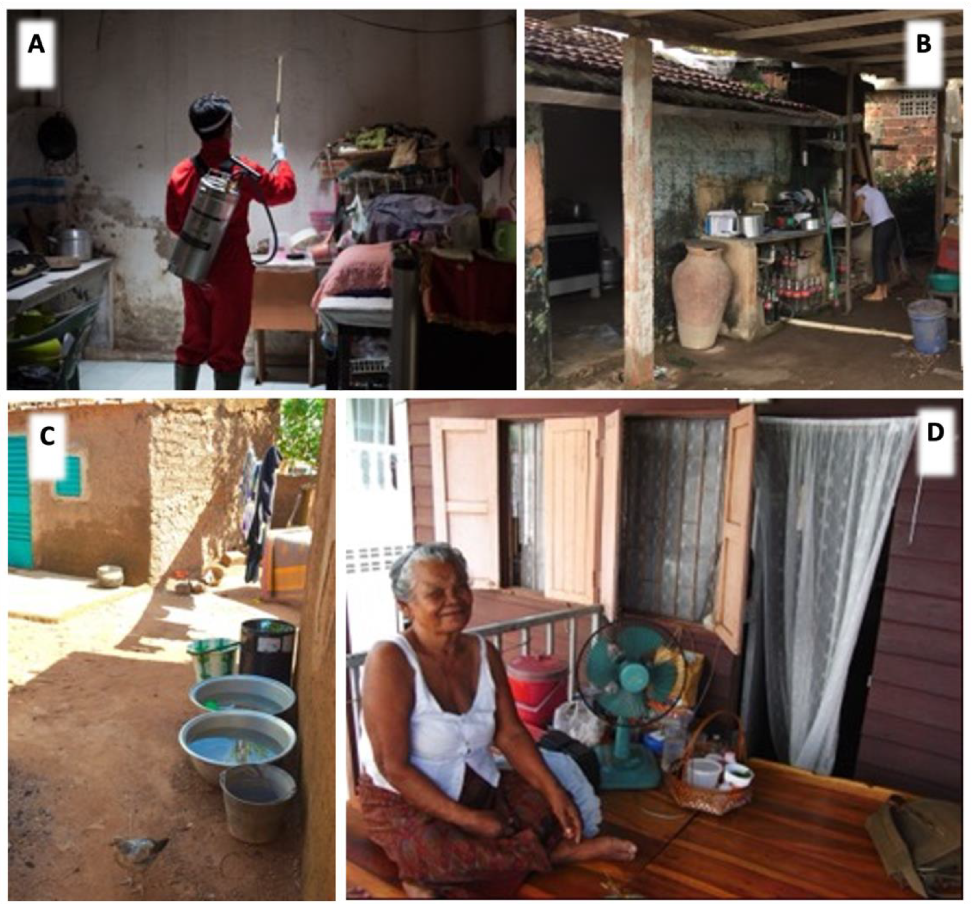 Viruses 15 00636 g001 Viruses 15 00636 g001