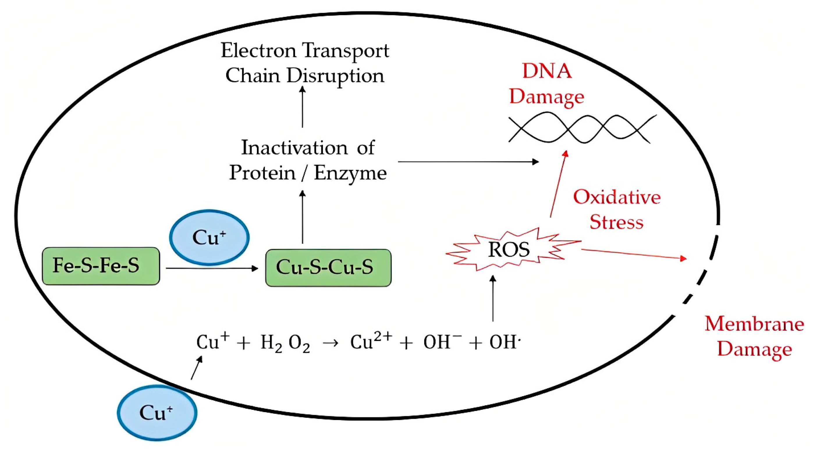 Viruses 15 00640 g004 Viruses 15 00640 g004