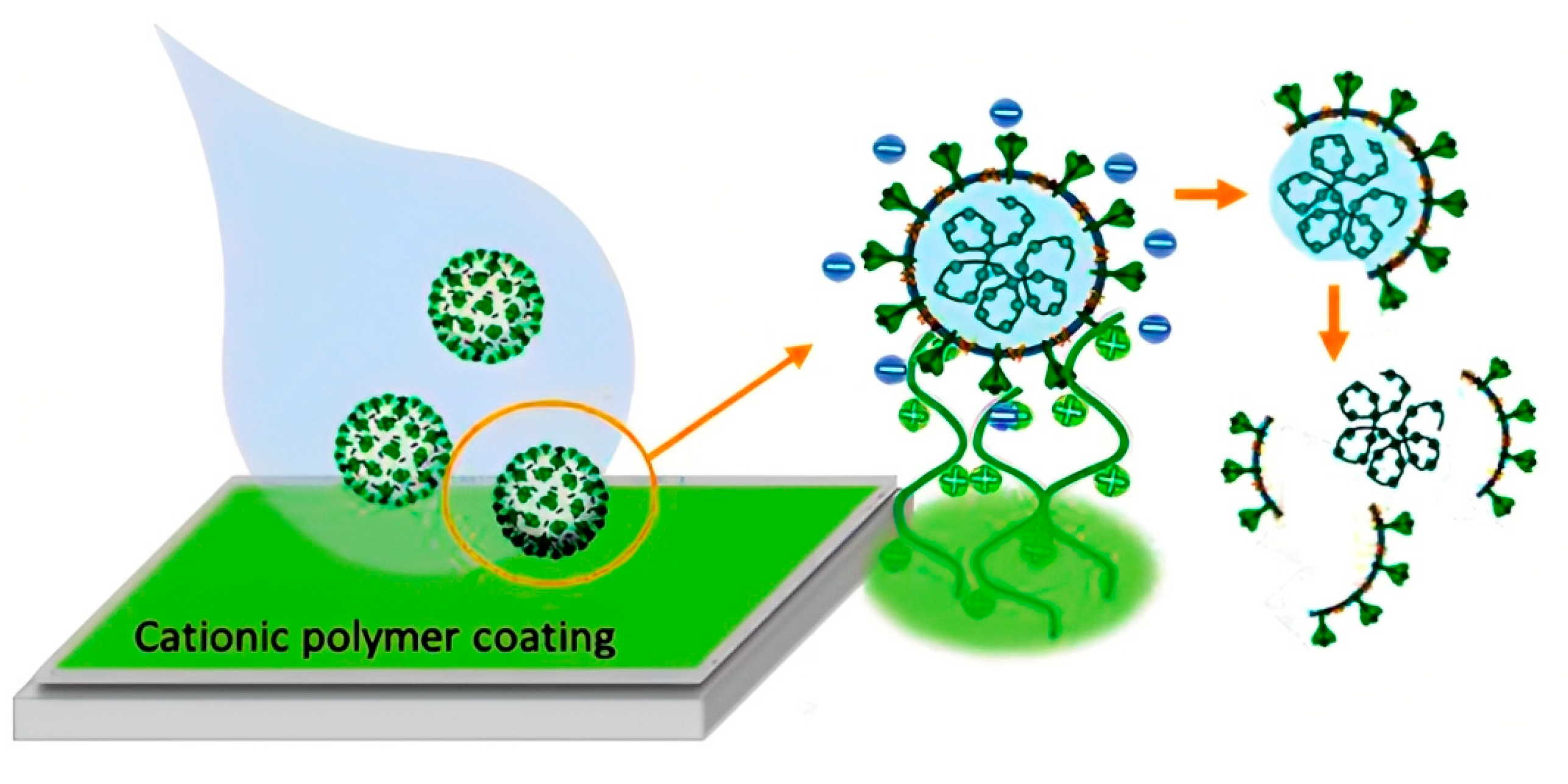 Viruses 15 00640 g006 Viruses 15 00640 g006
