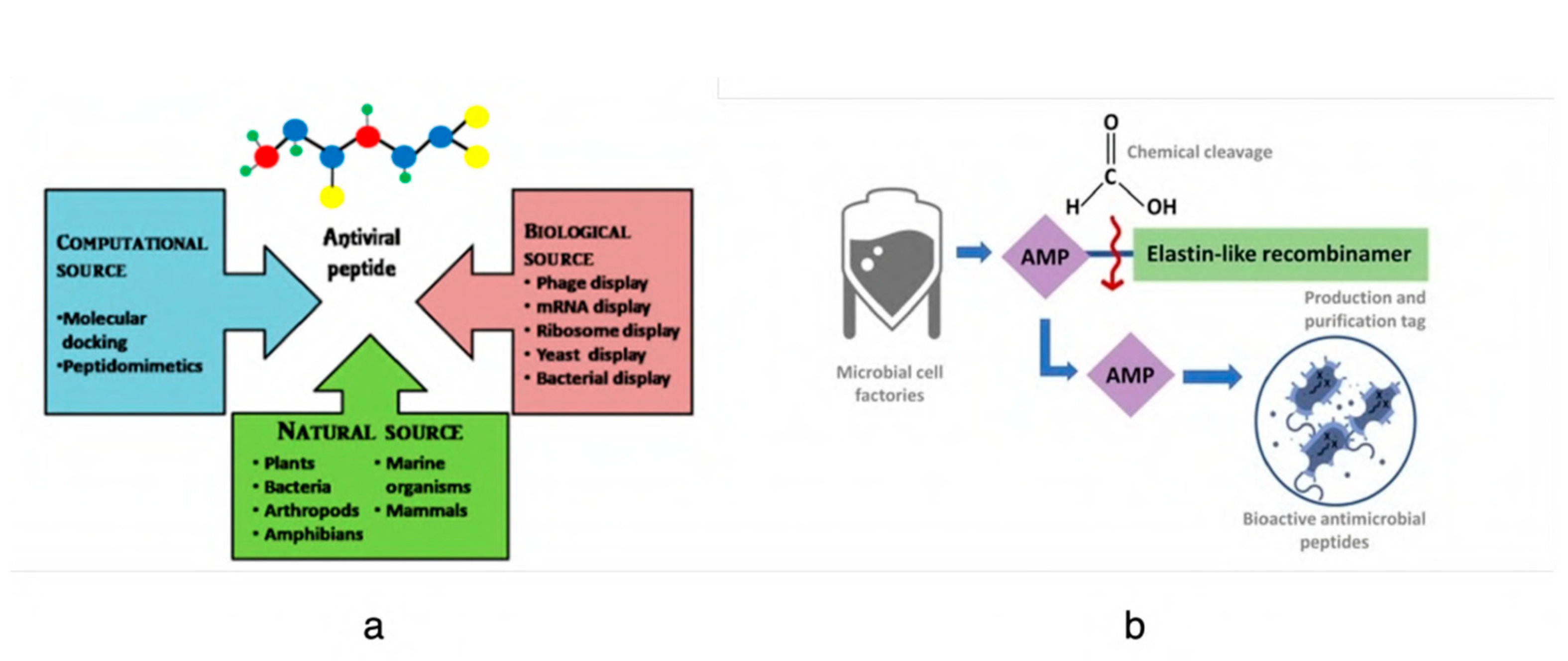 Viruses 15 00640 g007 Viruses 15 00640 g007