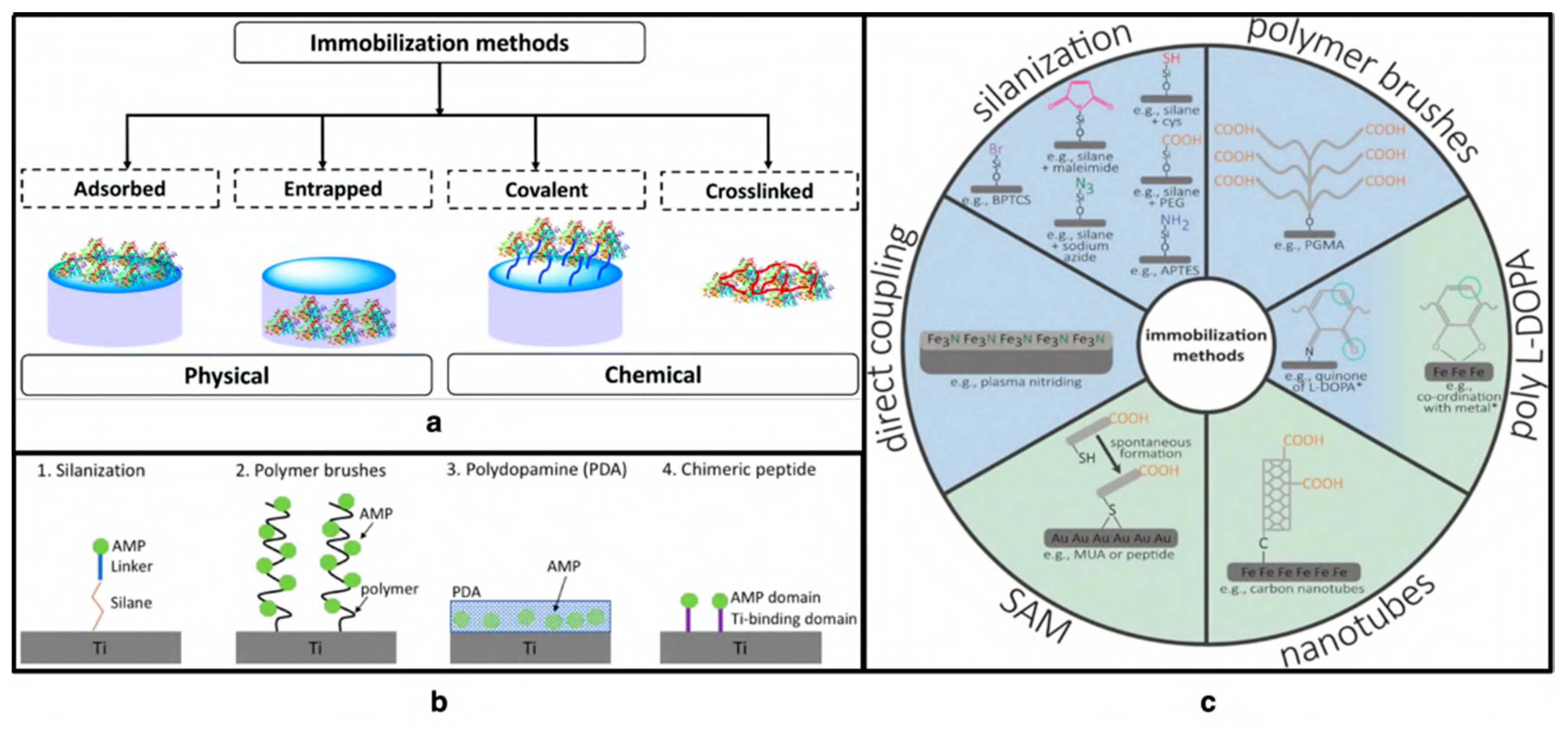 Viruses 15 00640 g010 Viruses 15 00640 g010
