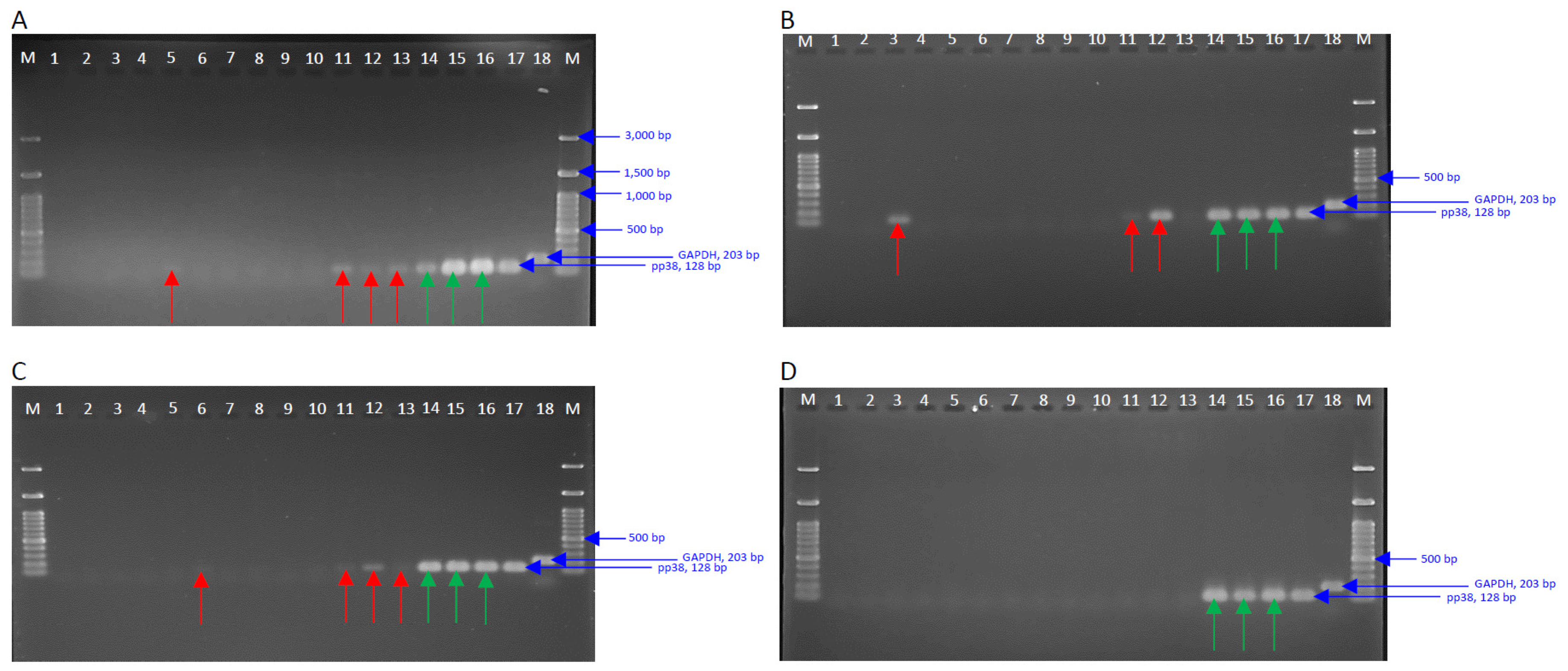 Viruses 15 00648 g003 Viruses 15 00648 g003