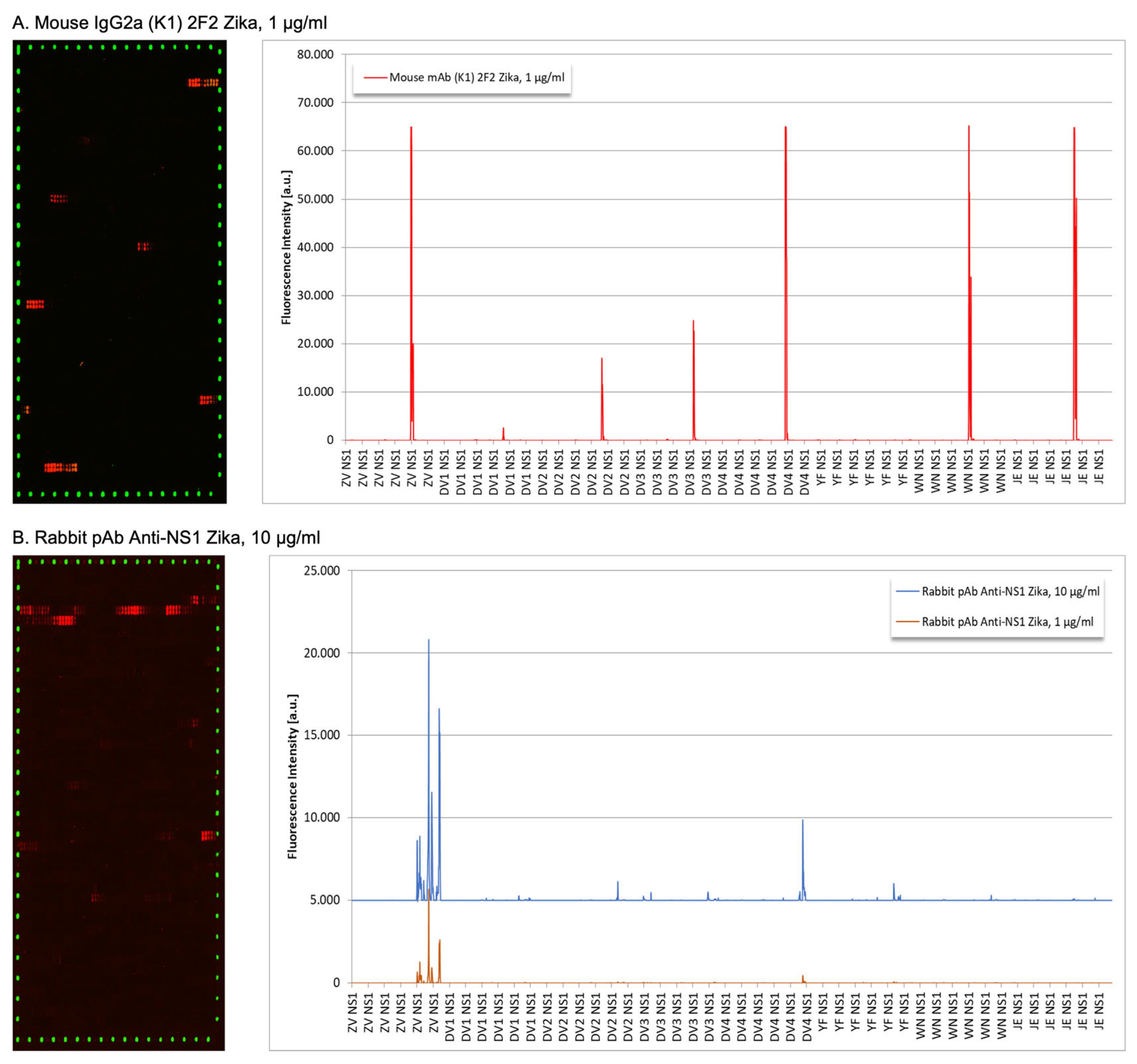 Viruses 15 00654 g002