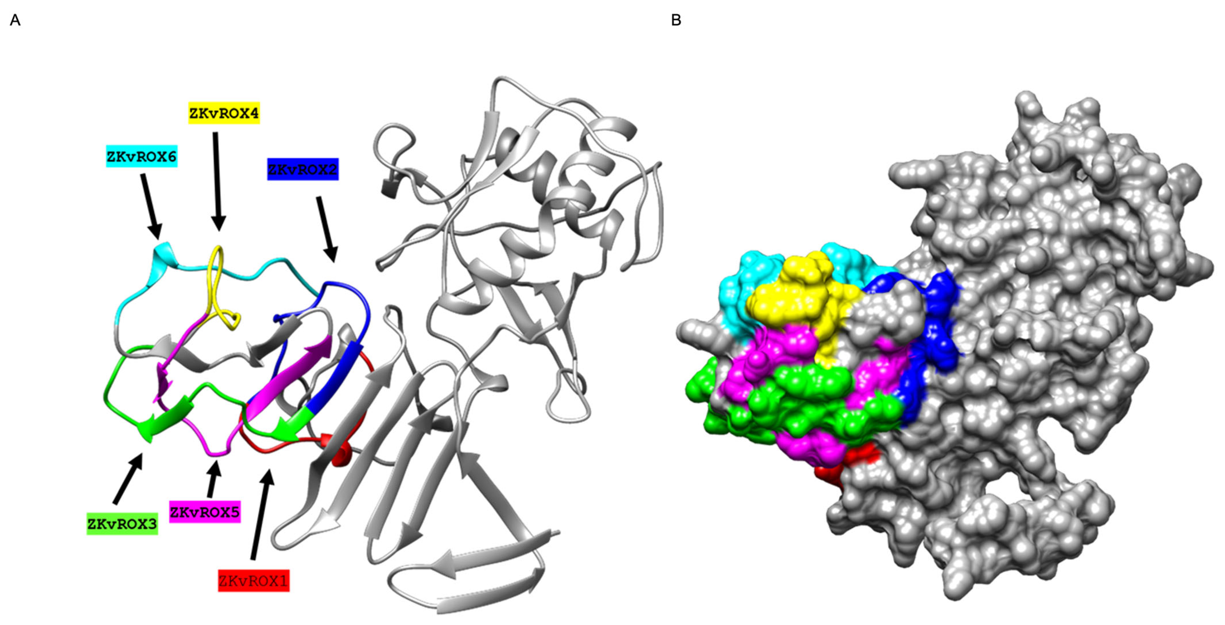 Viruses 15 00654 g004