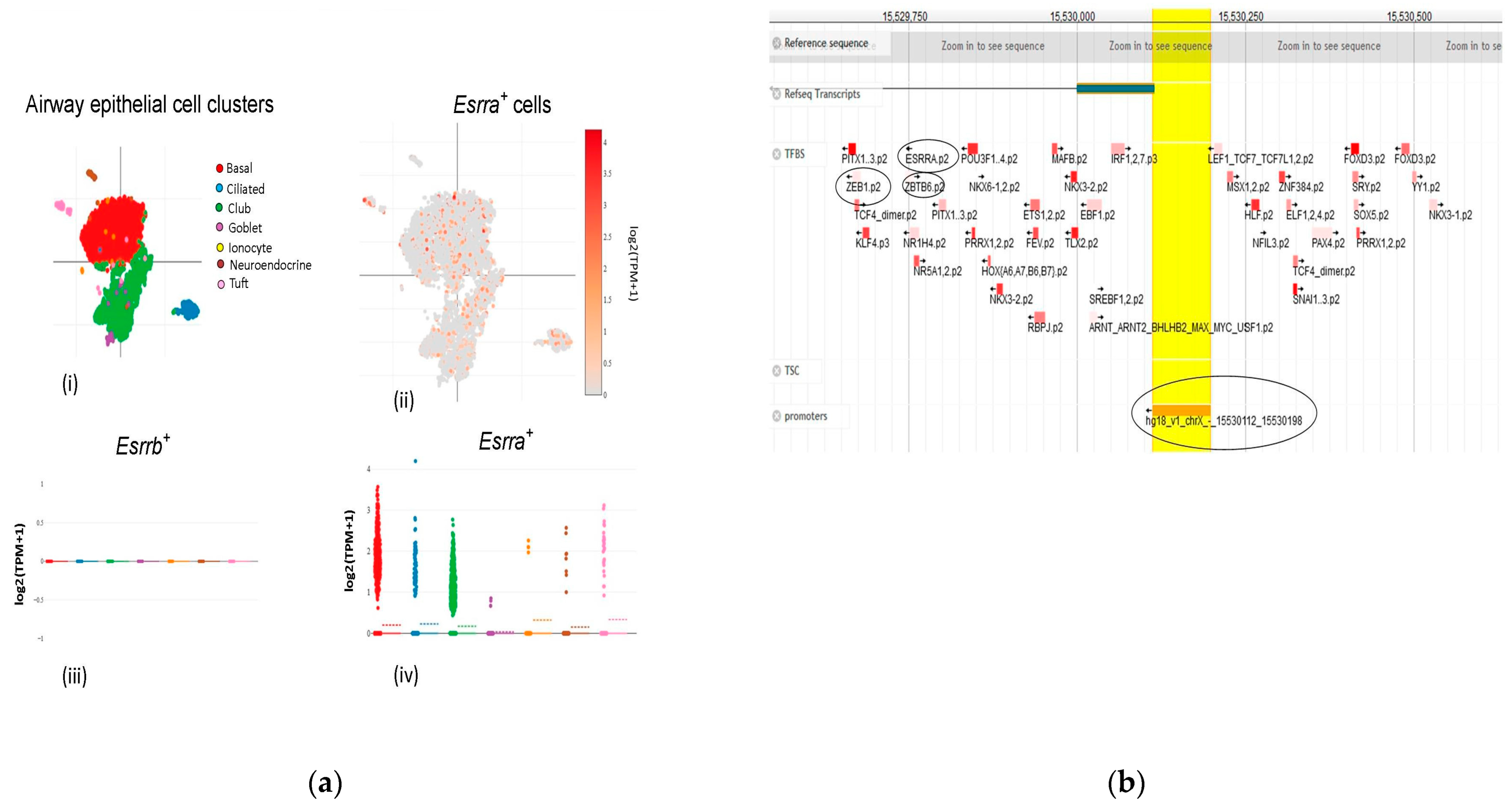 Viruses 15 00657 g003 Viruses 15 00657 g003