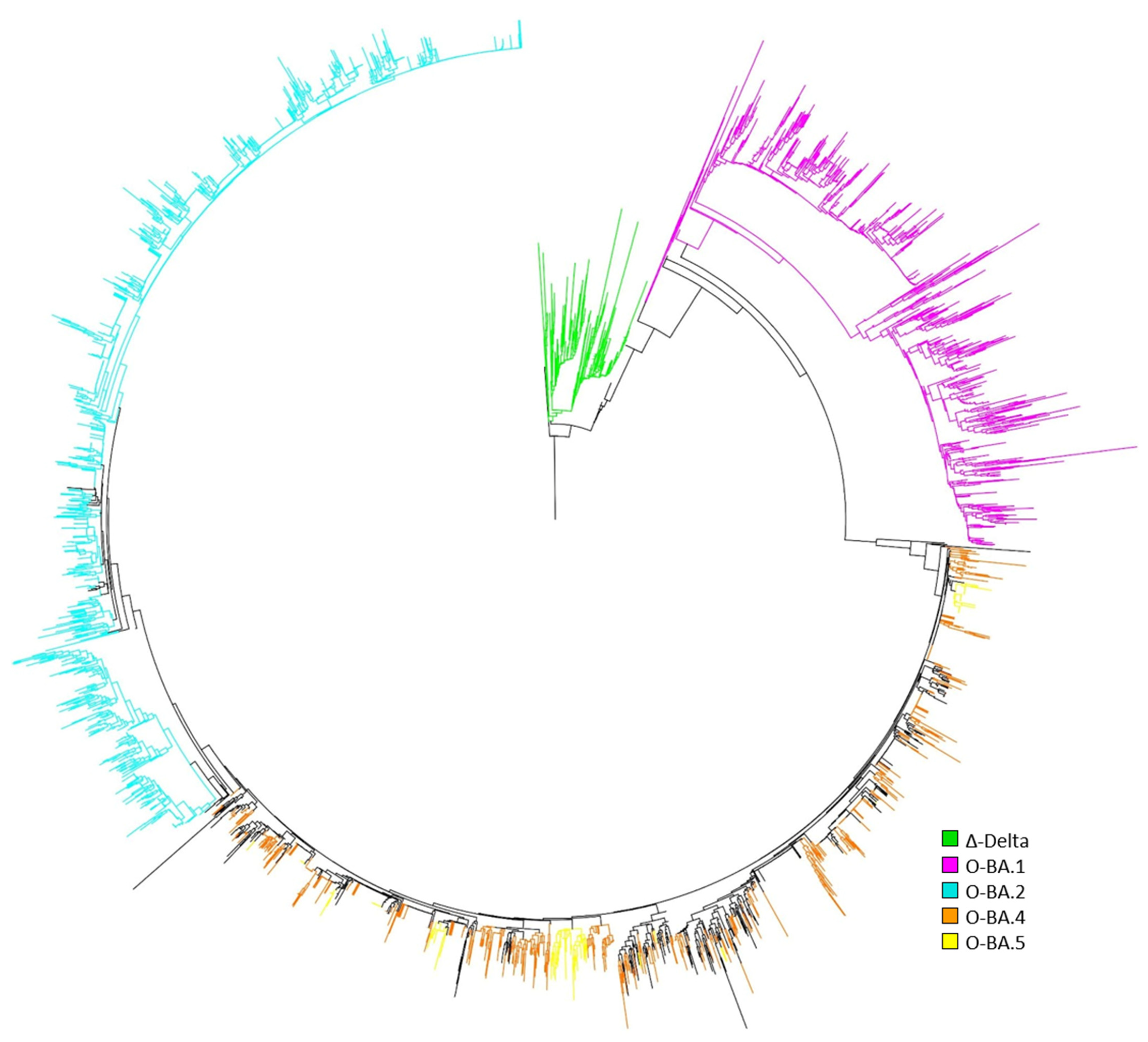 Viruses 15 00658 g004