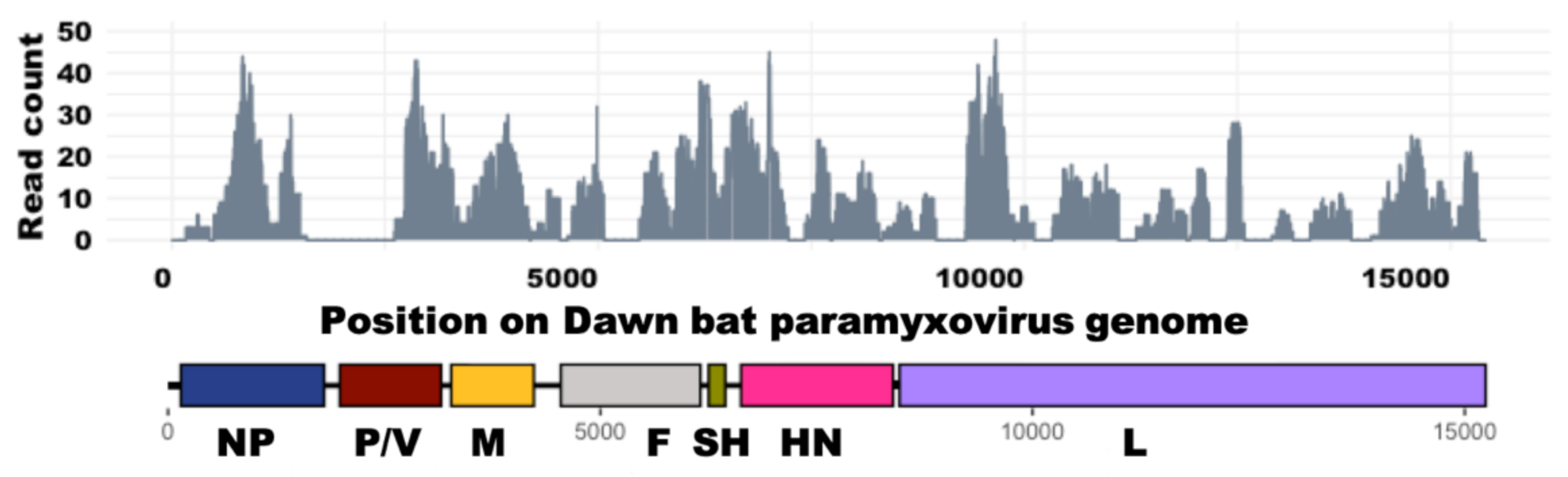Viruses 15 00659 g001 Viruses 15 00659 g001
