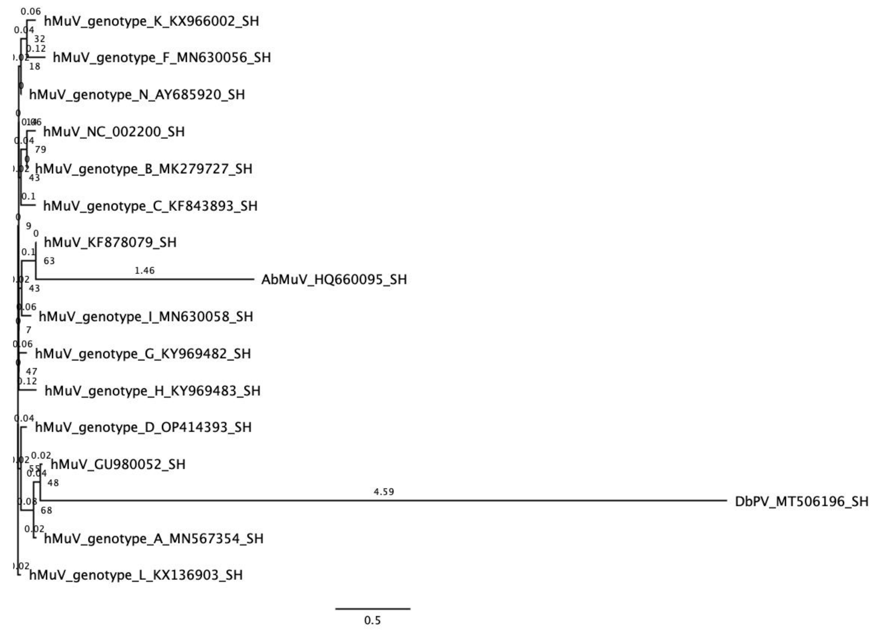 Viruses 15 00659 g002 Viruses 15 00659 g002