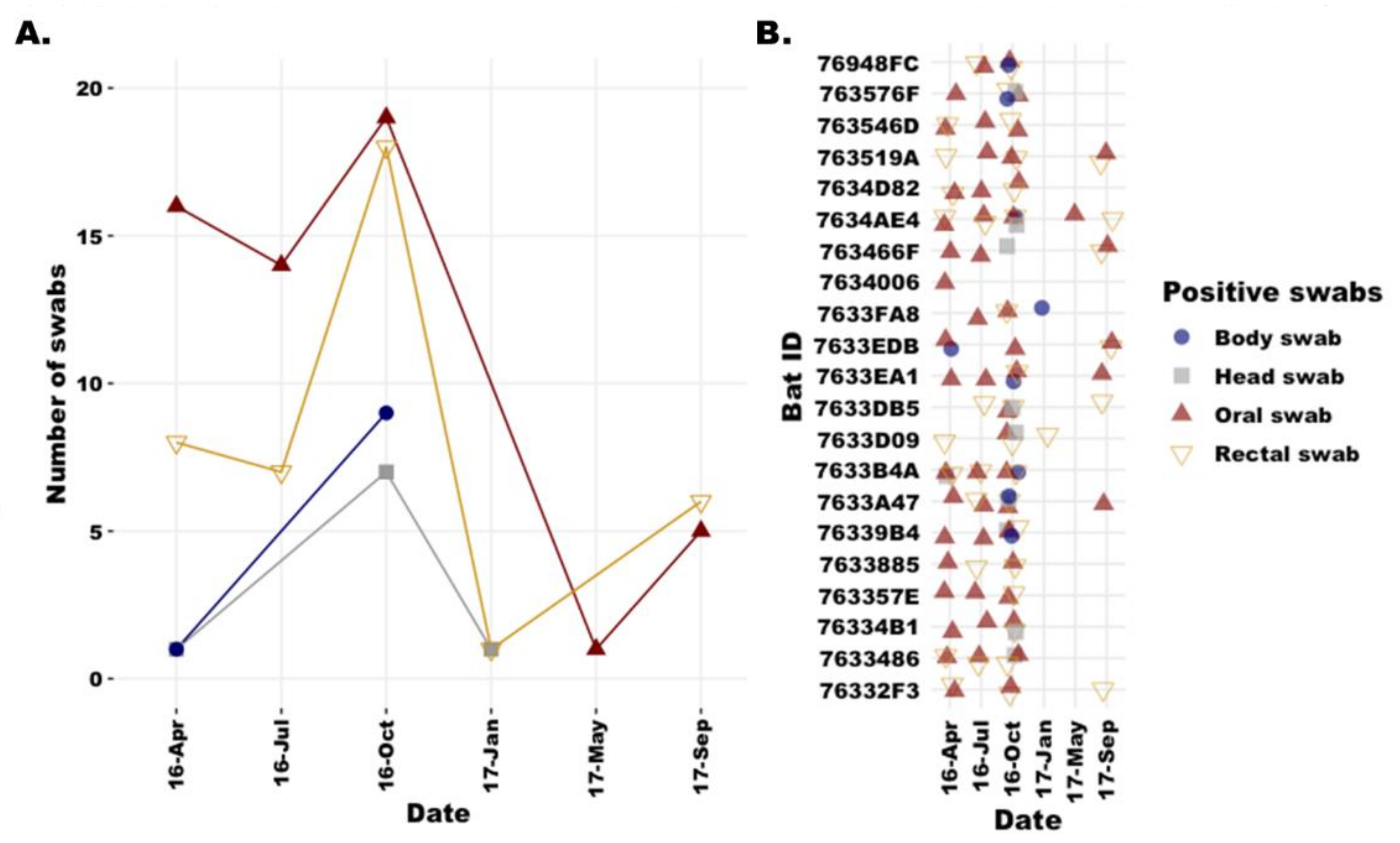Viruses 15 00659 g004 Viruses 15 00659 g004
