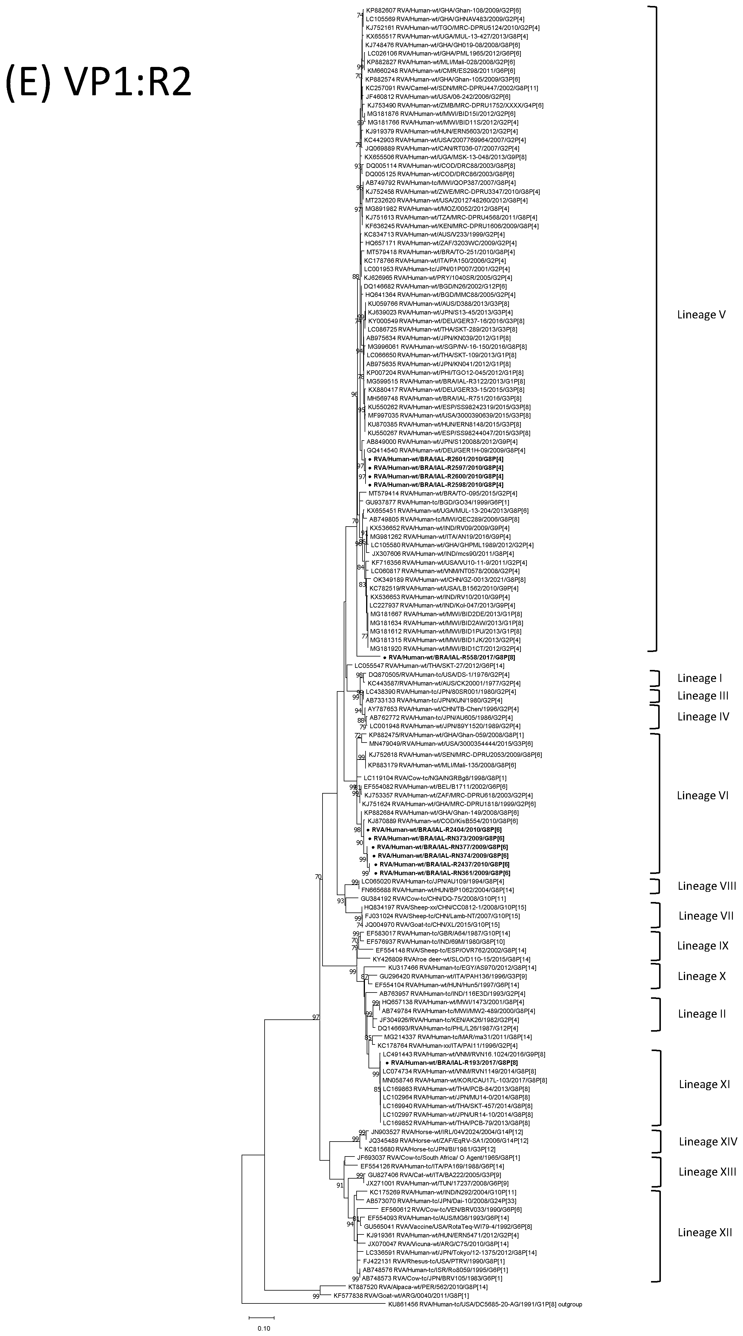 Viruses 15 00664 g001e