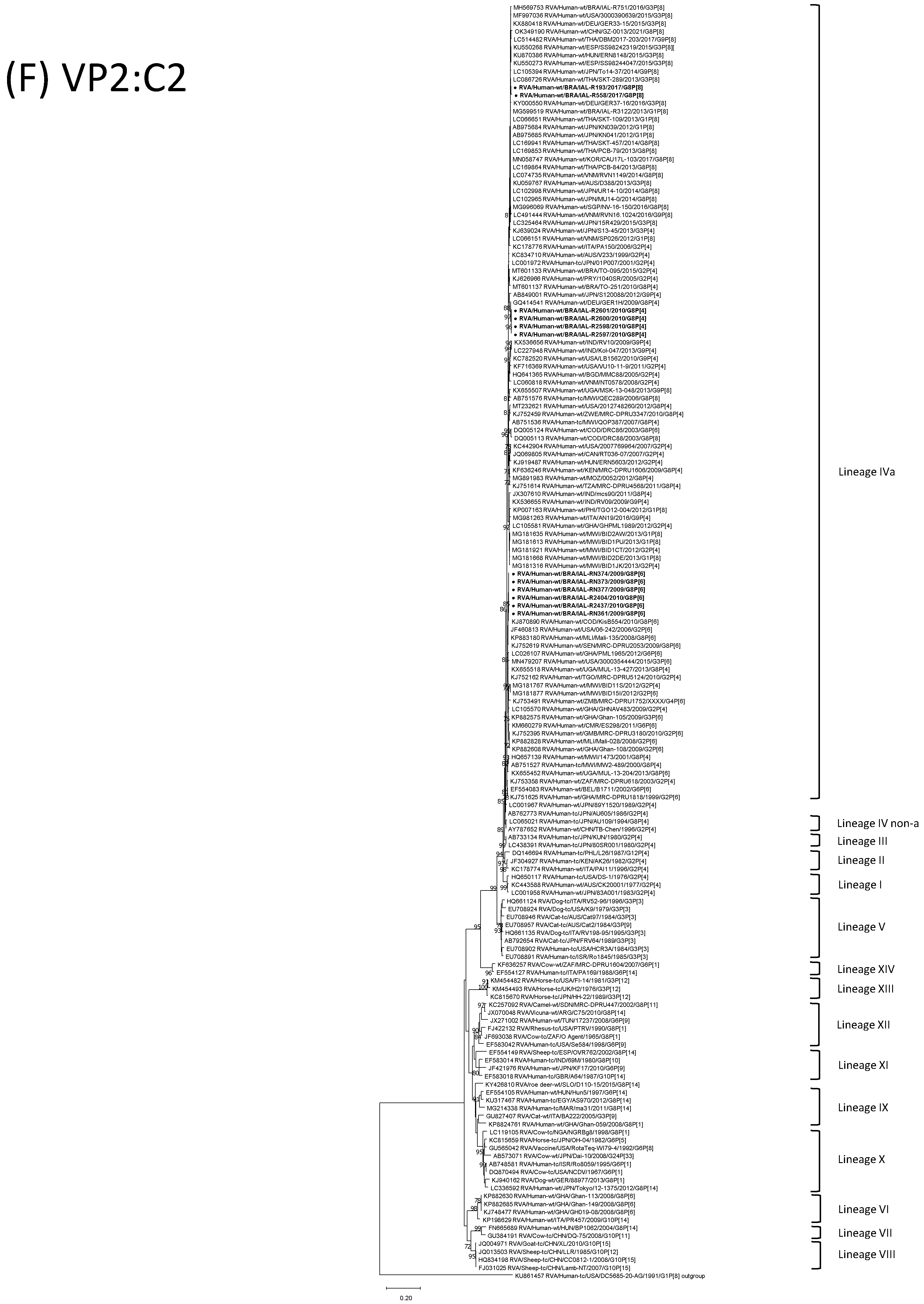 Viruses 15 00664 g001f