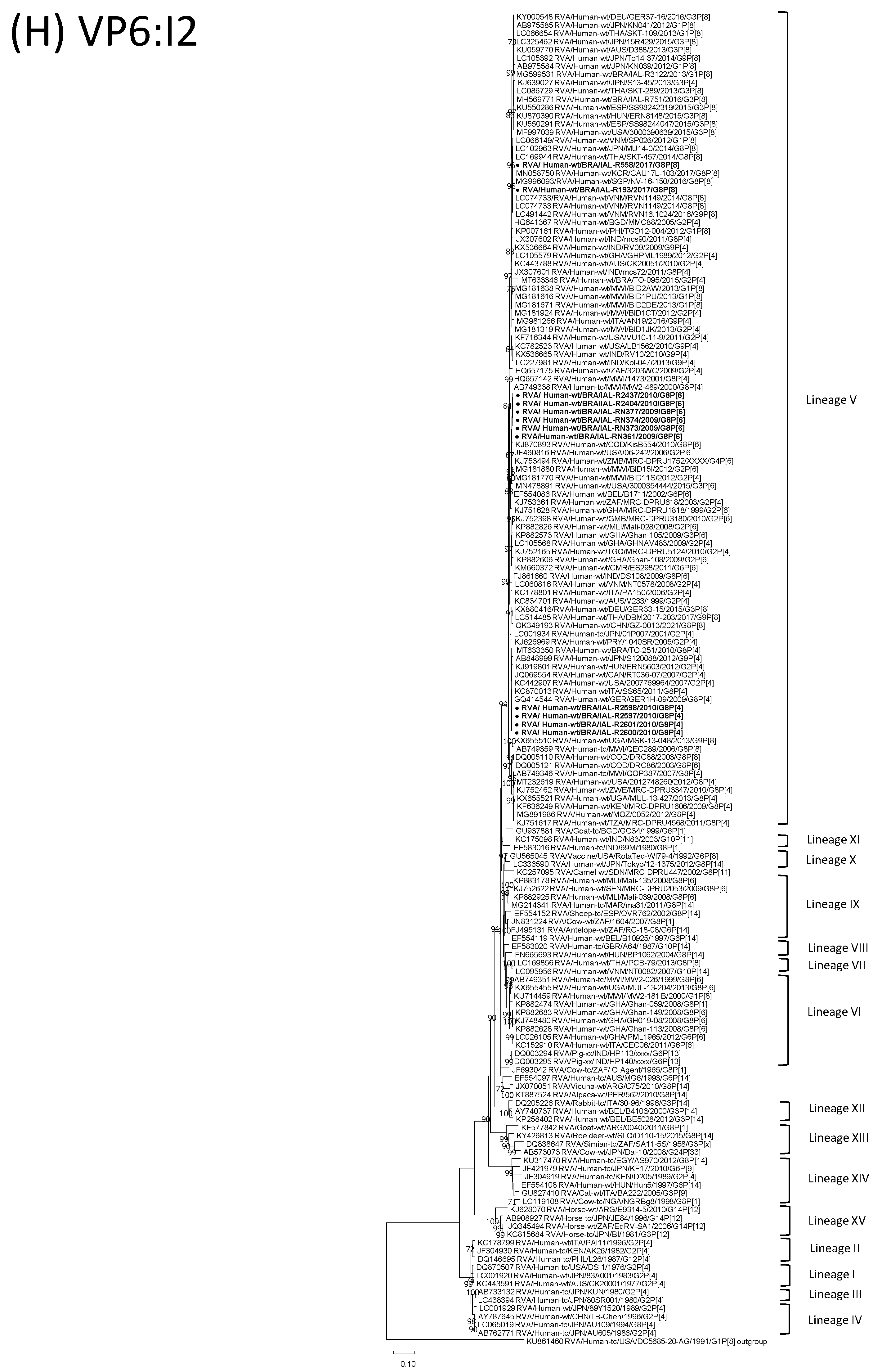 Viruses 15 00664 g001h