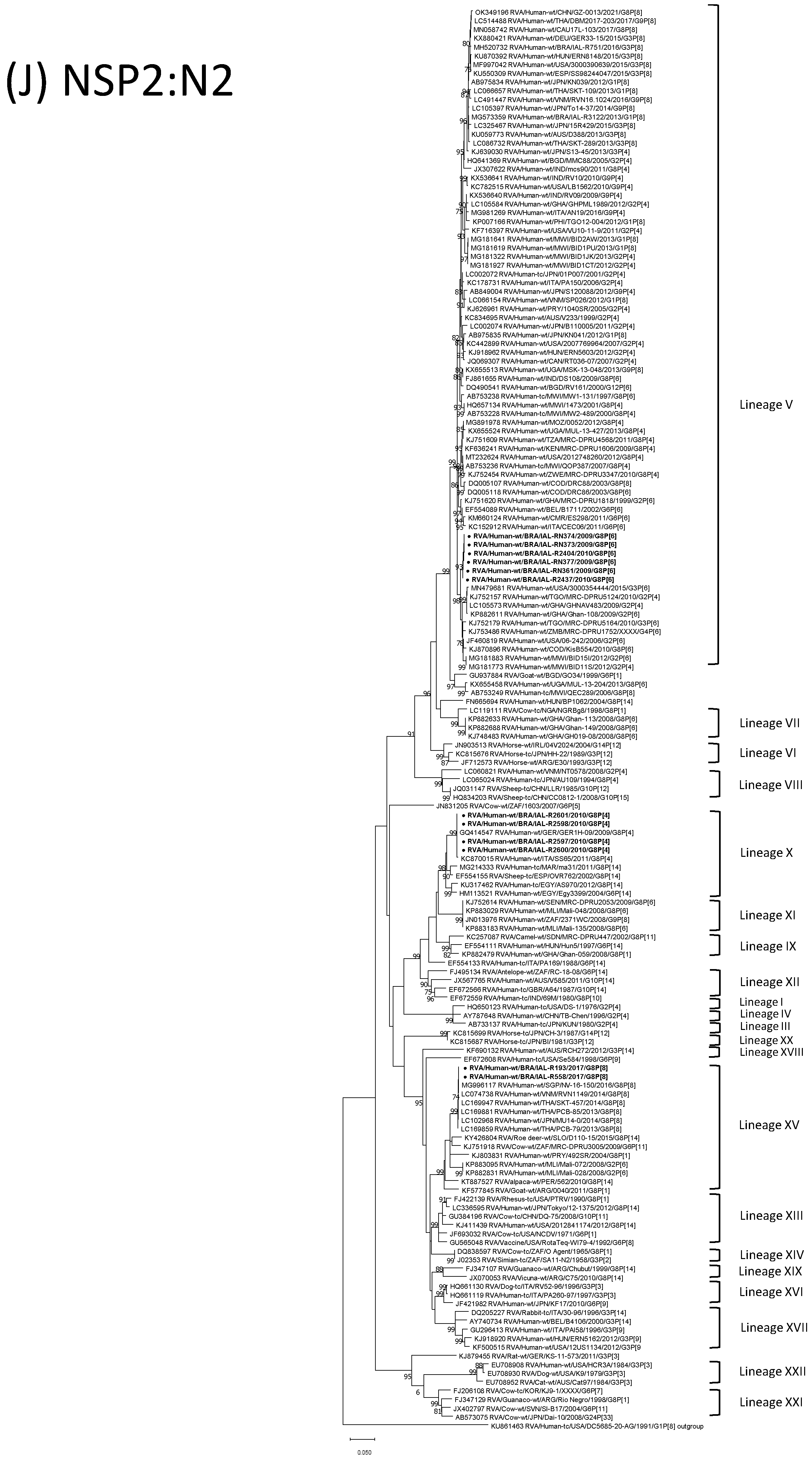 Viruses 15 00664 g001j