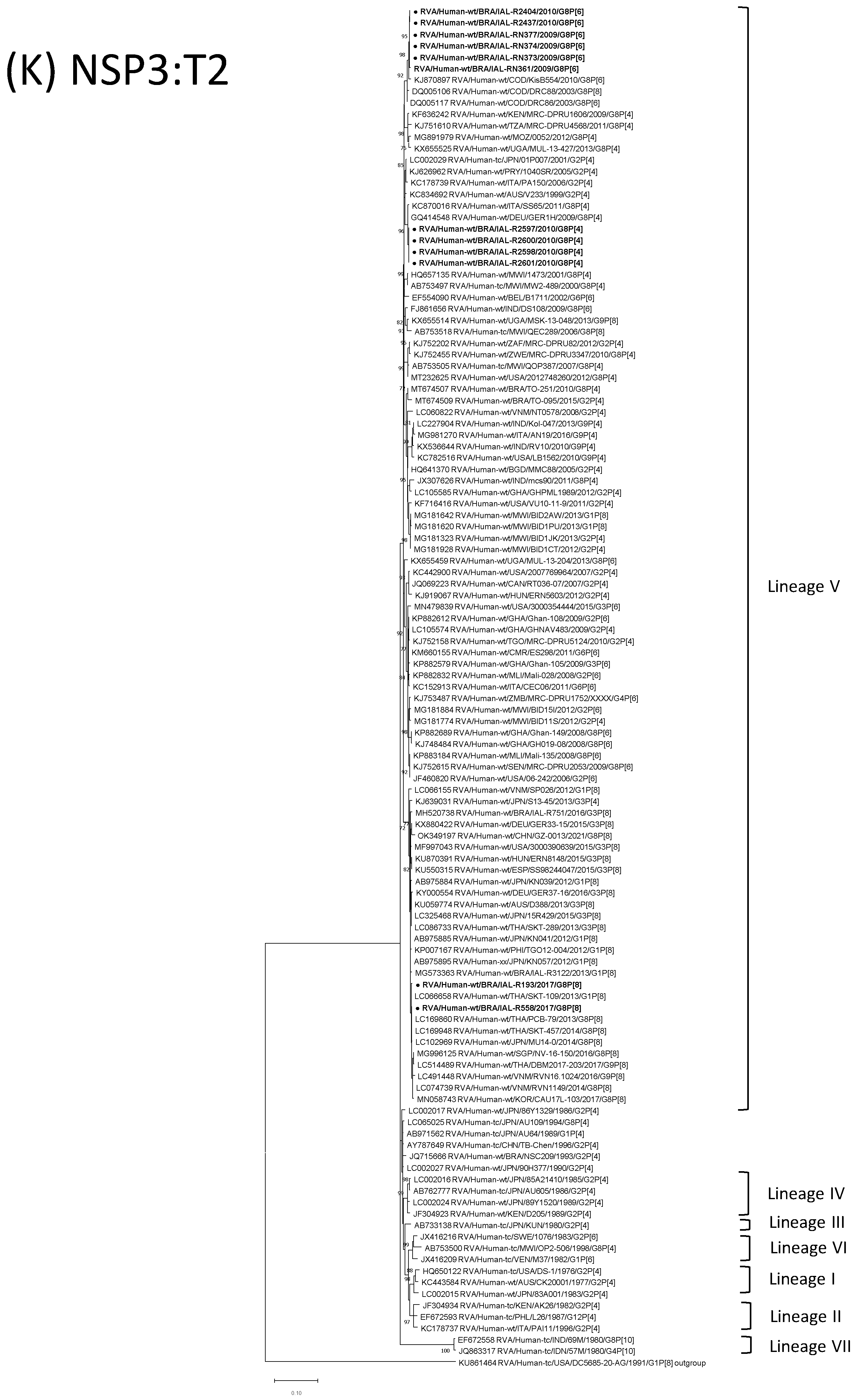 Viruses 15 00664 g001k