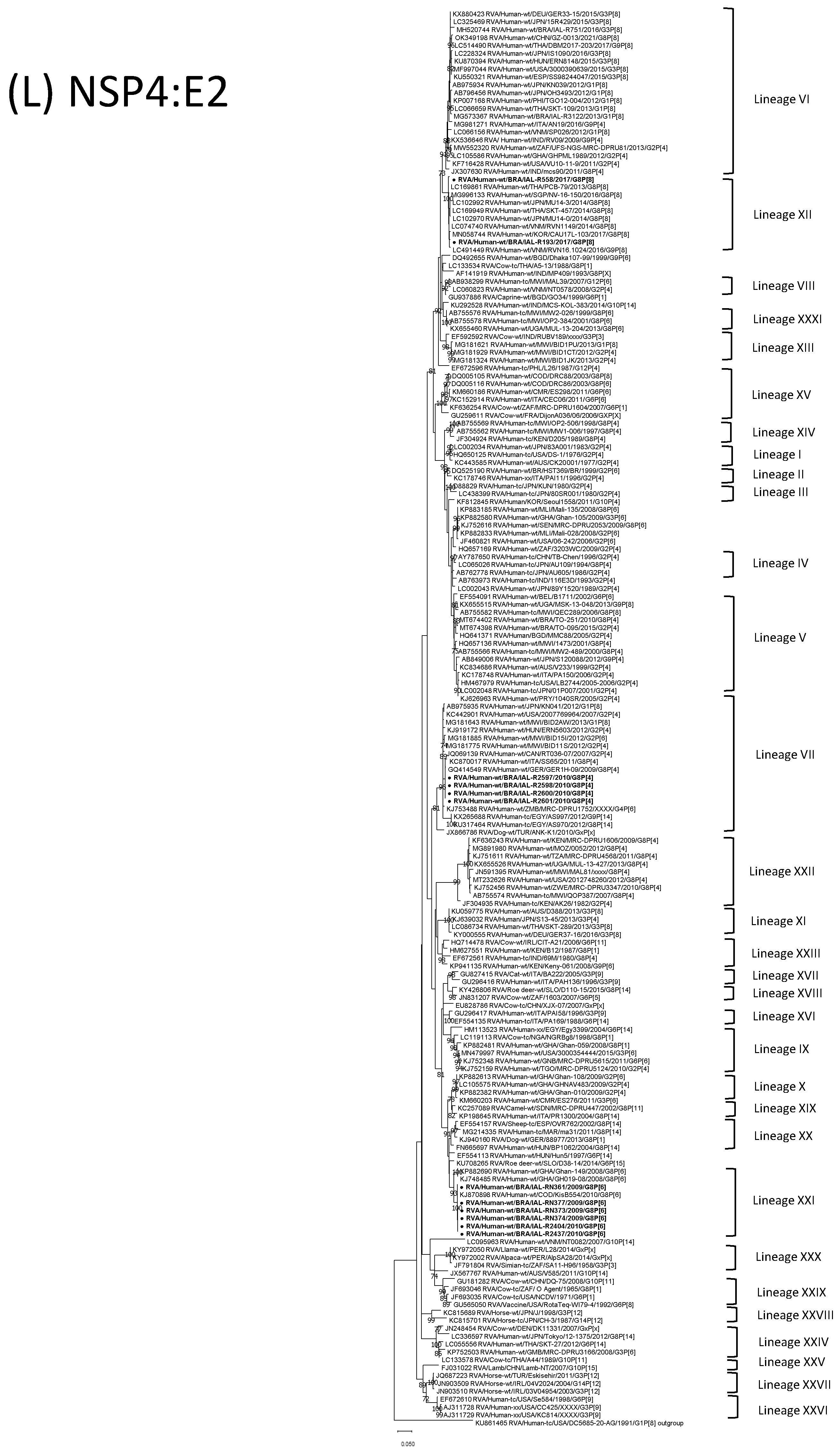 Viruses 15 00664 g001l