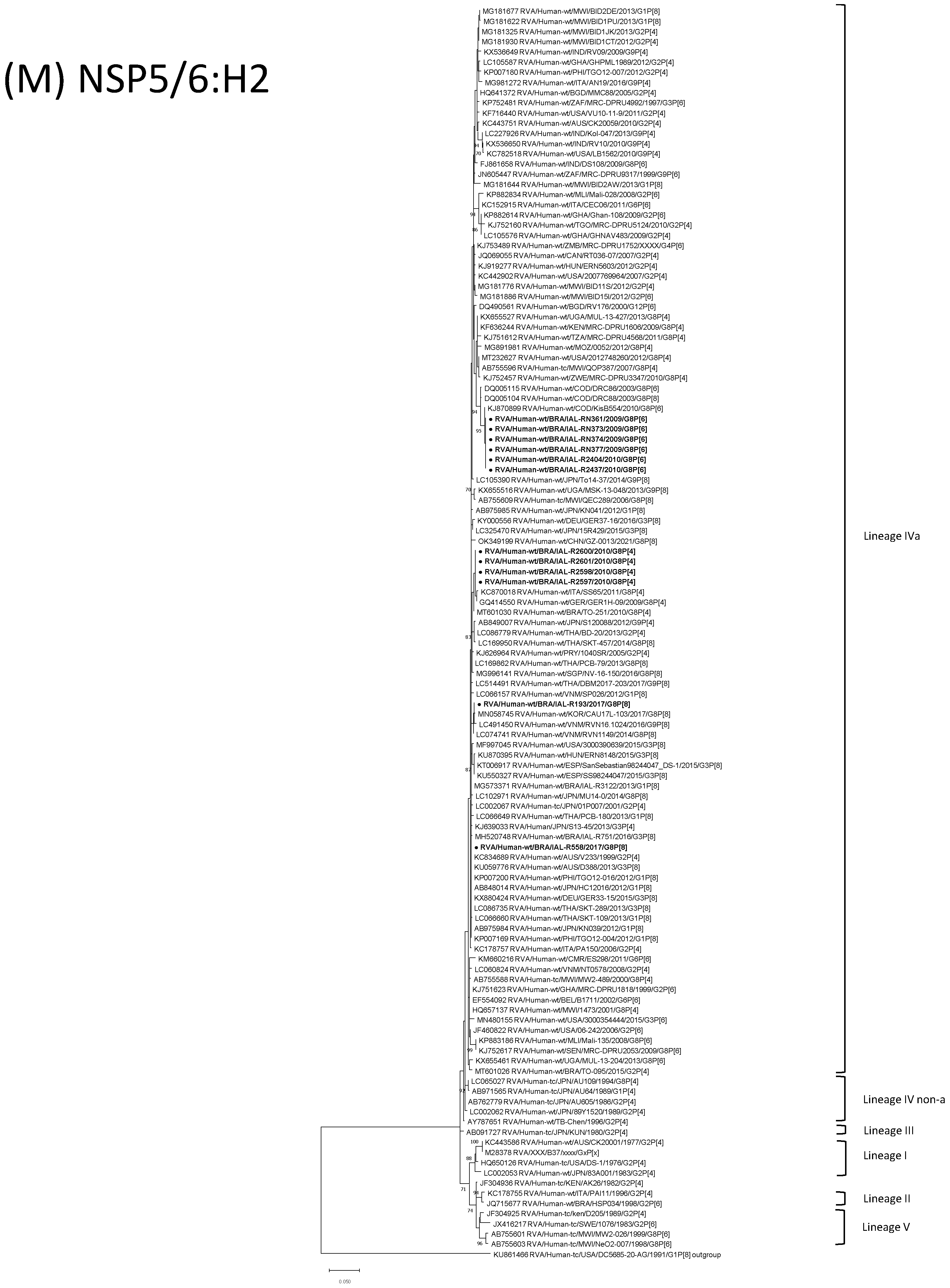 Viruses 15 00664 g001m