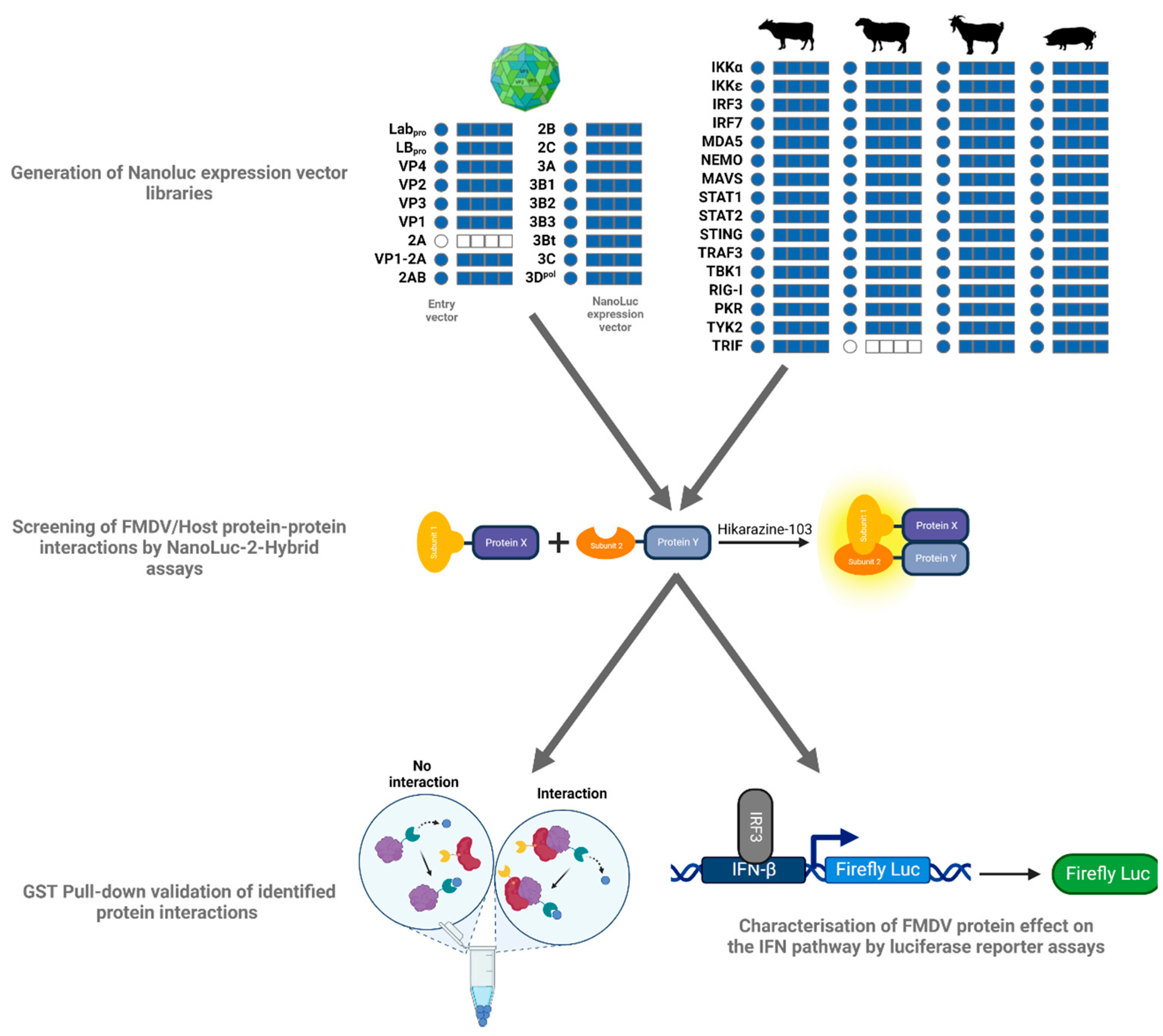 Viruses 15 00666 g001 Viruses 15 00666 g001