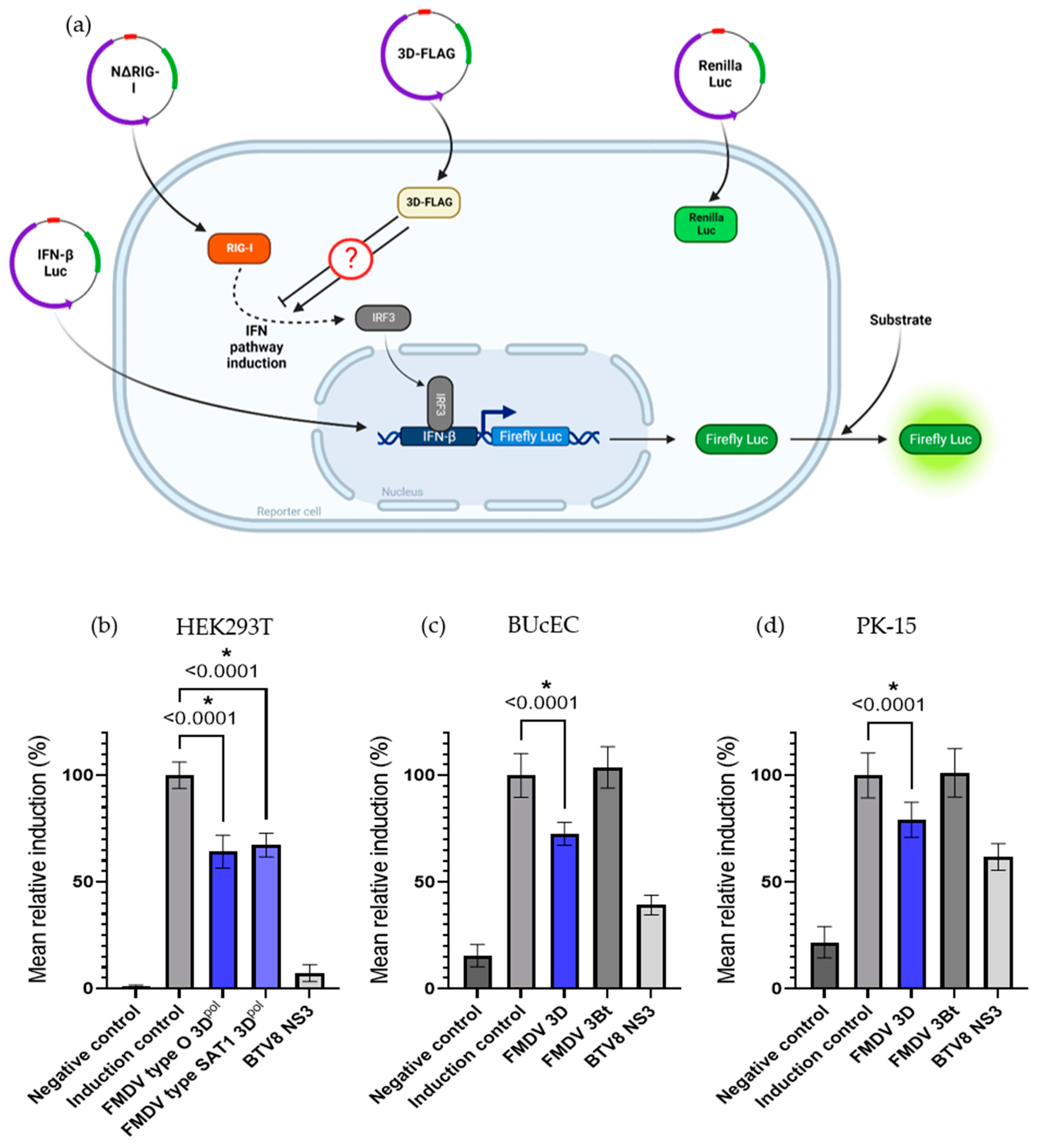 Viruses 15 00666 g006a Viruses 15 00666 g006a