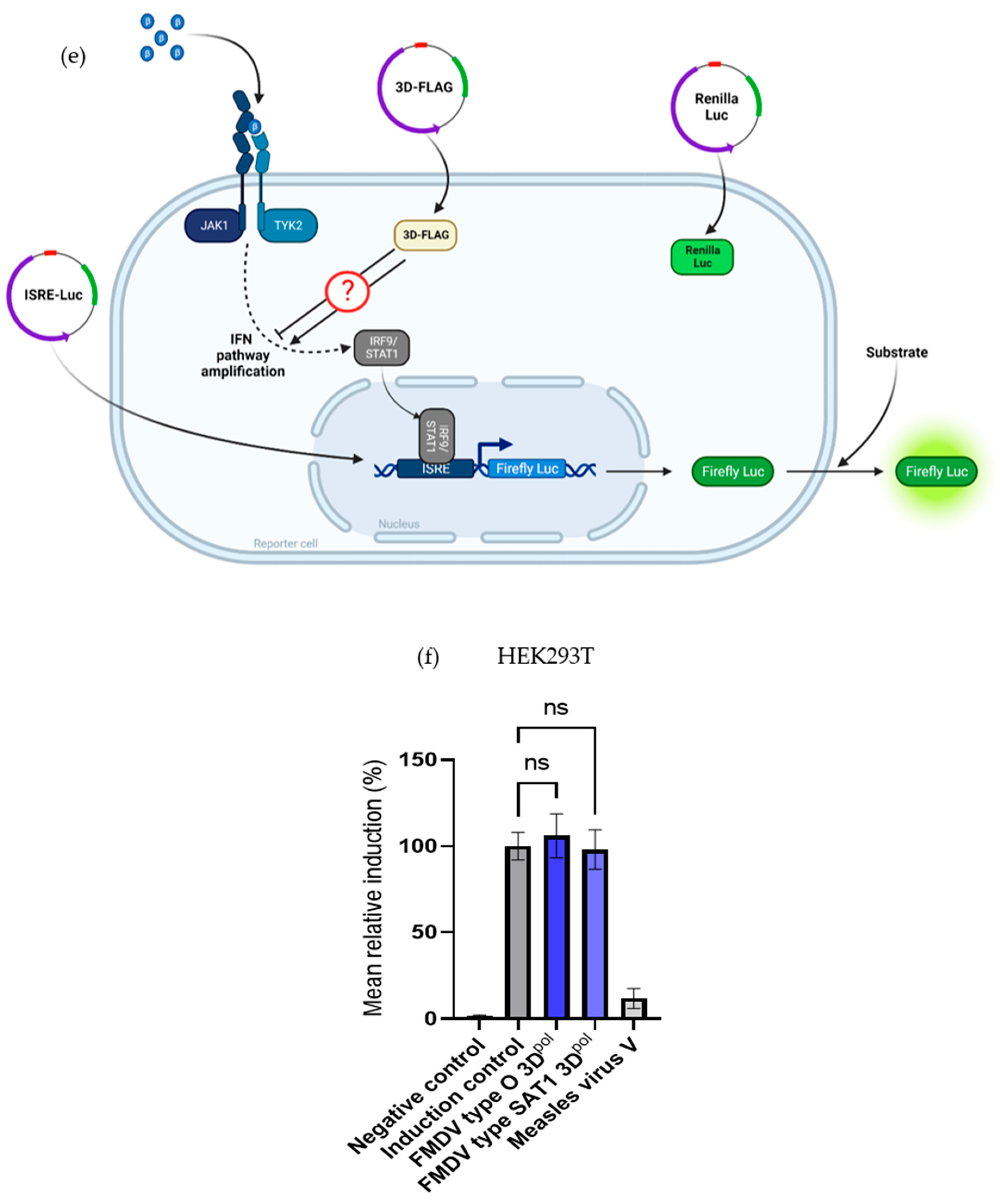 Viruses 15 00666 g006b Viruses 15 00666 g006b