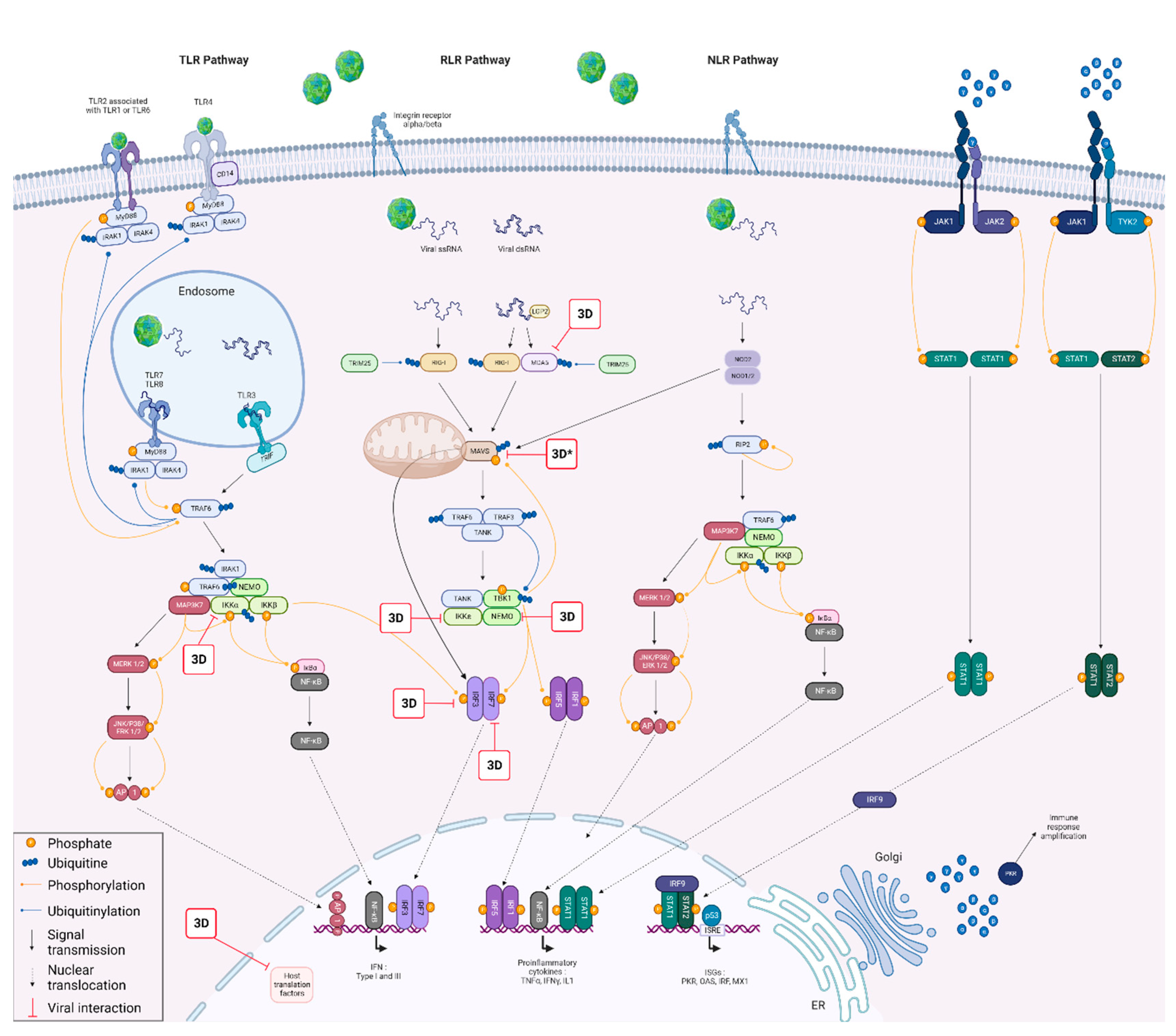 Viruses 15 00666 g010 Viruses 15 00666 g010