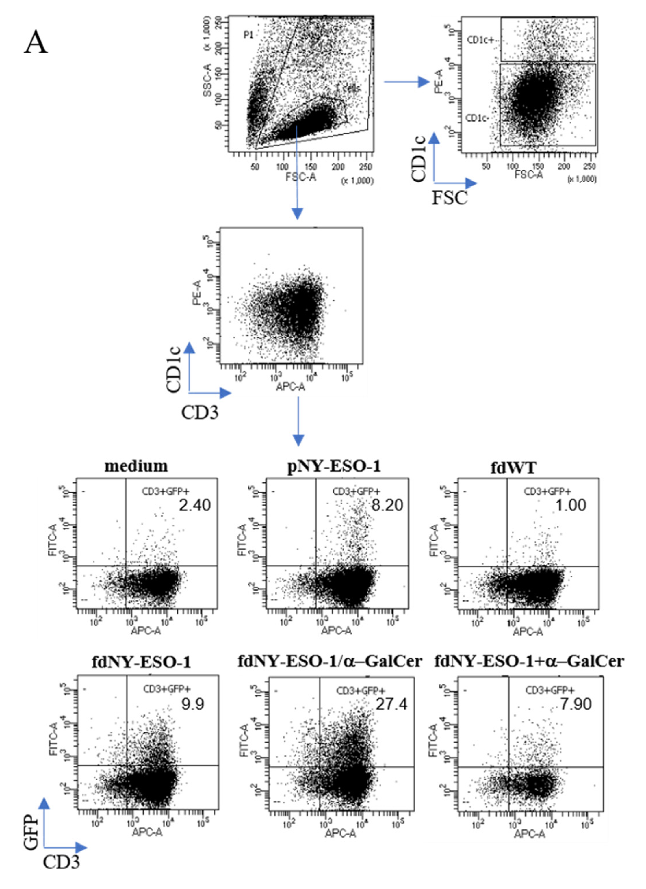 Viruses 15 00672 g001a Viruses 15 00672 g001a