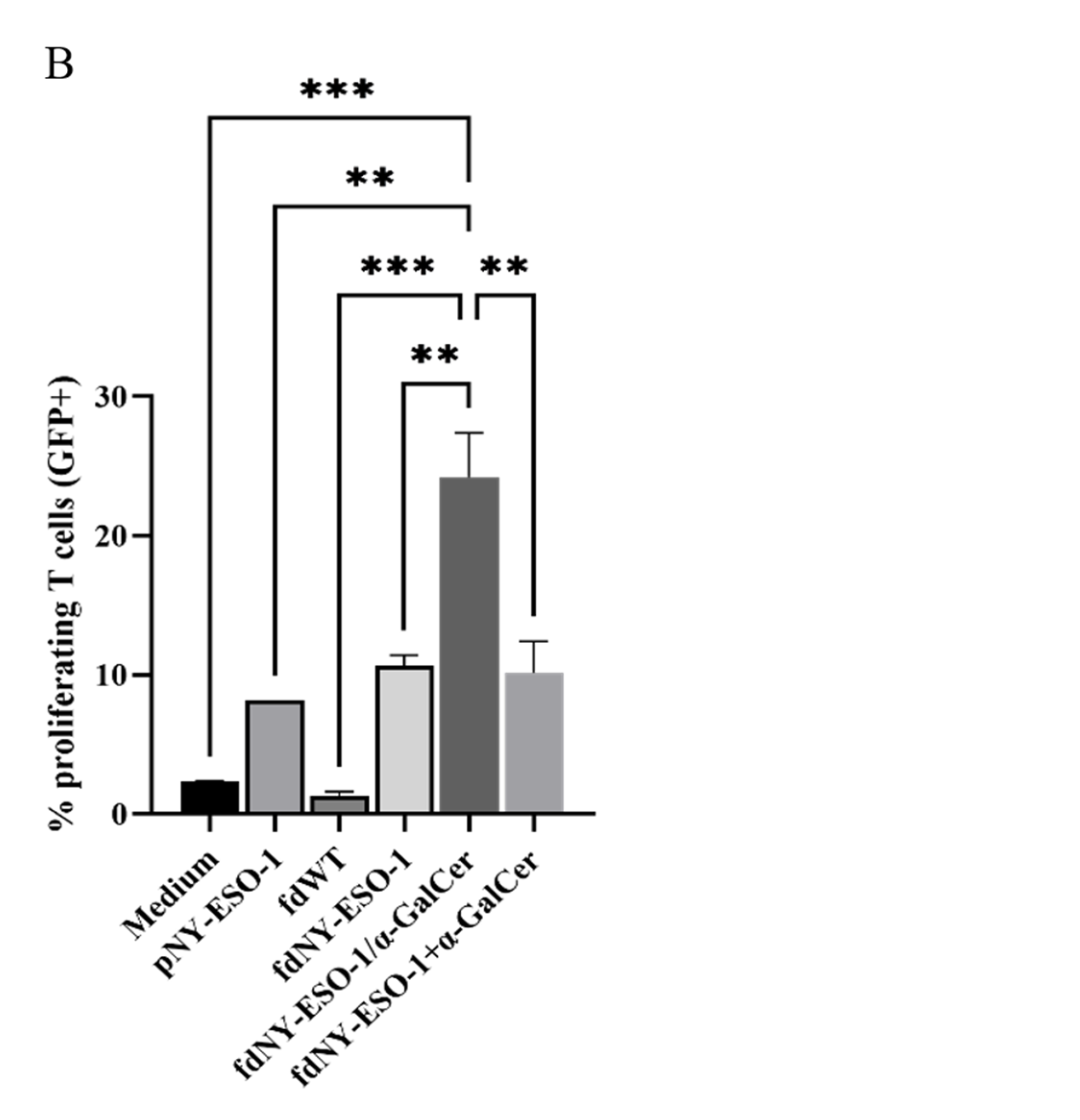 Viruses 15 00672 g001b Viruses 15 00672 g001b