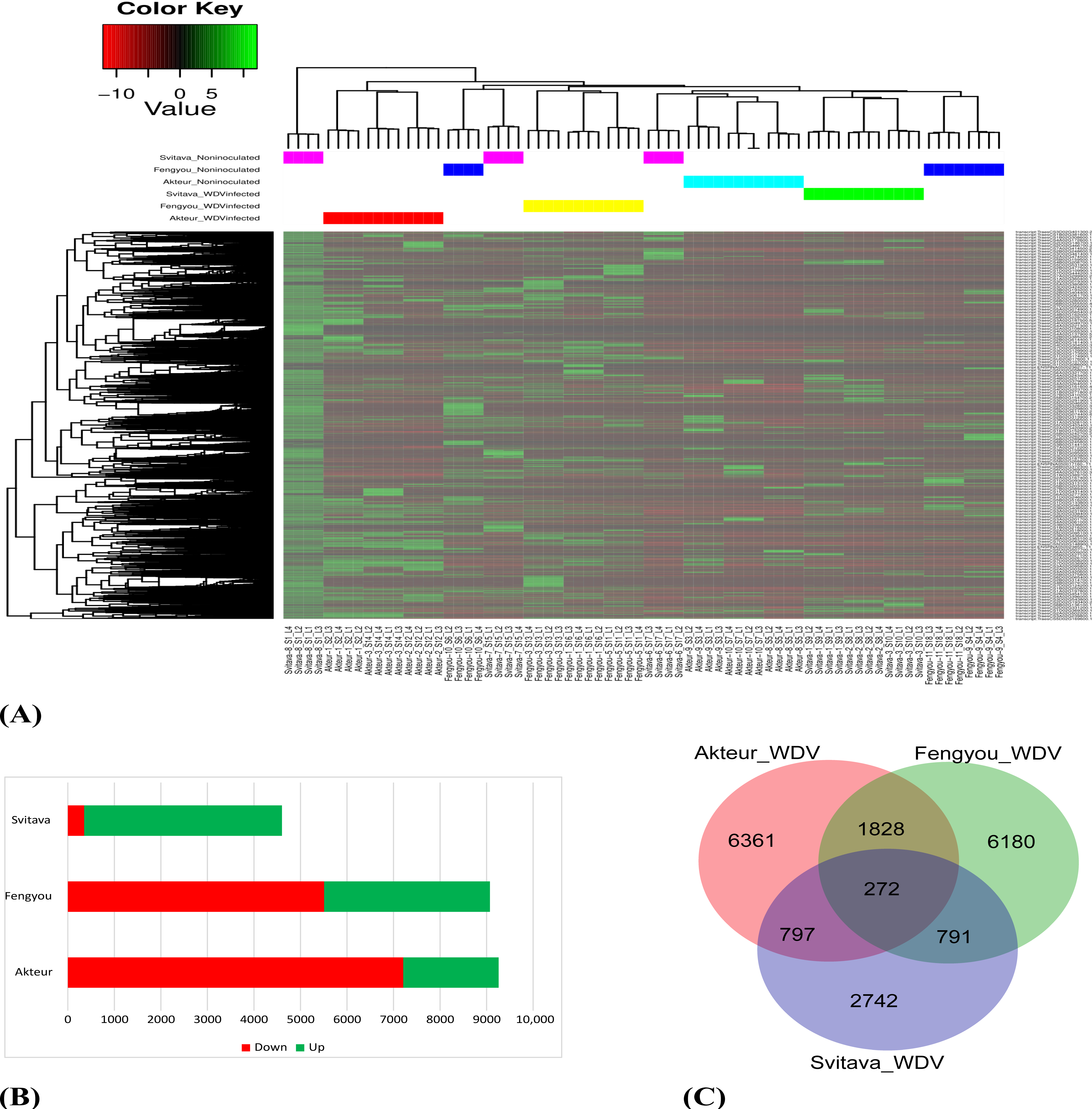 Viruses 15 00689 g003 Viruses 15 00689 g003