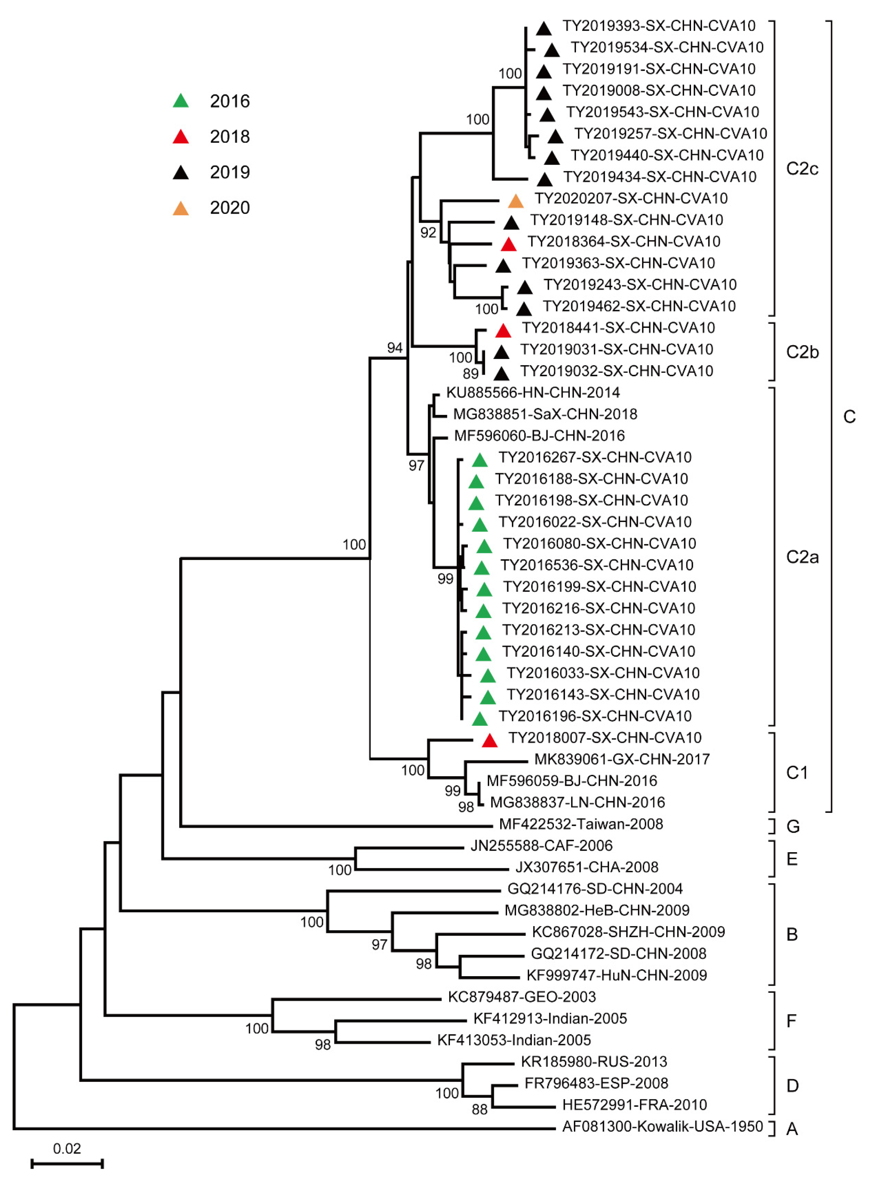 Viruses 15 00694 g002 Viruses 15 00694 g002