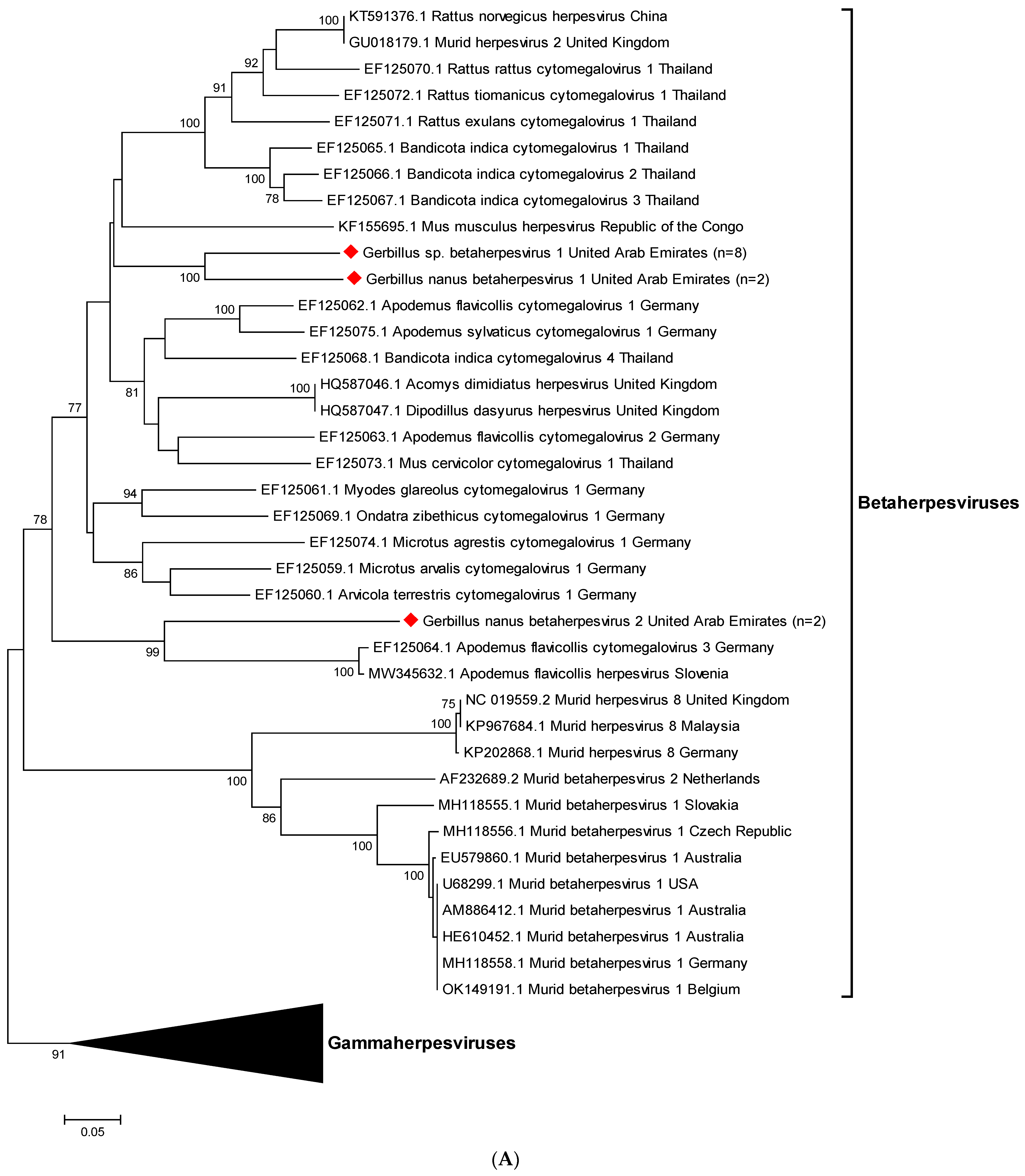 Viruses 15 00695 g001a