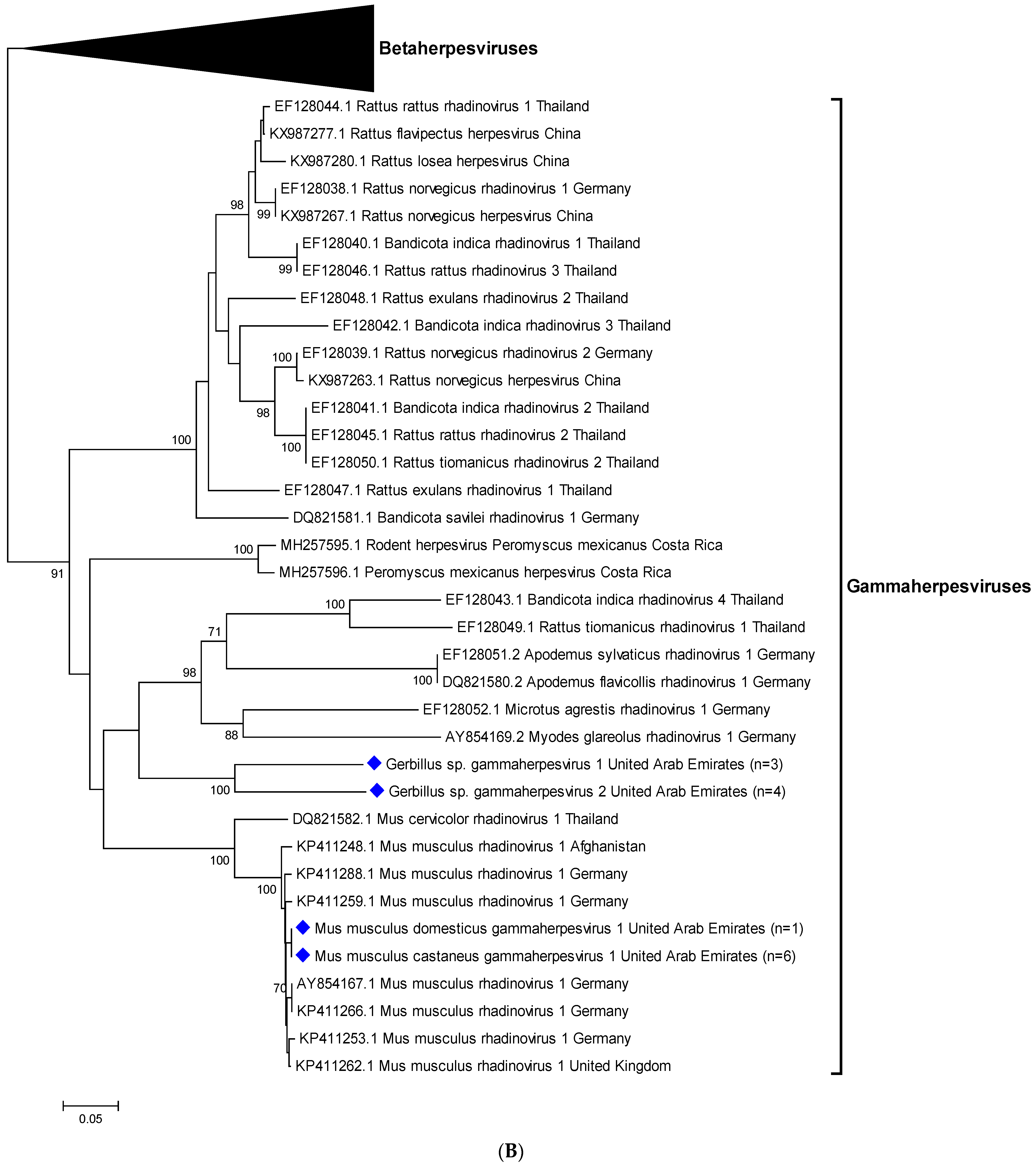 Viruses 15 00695 g001b