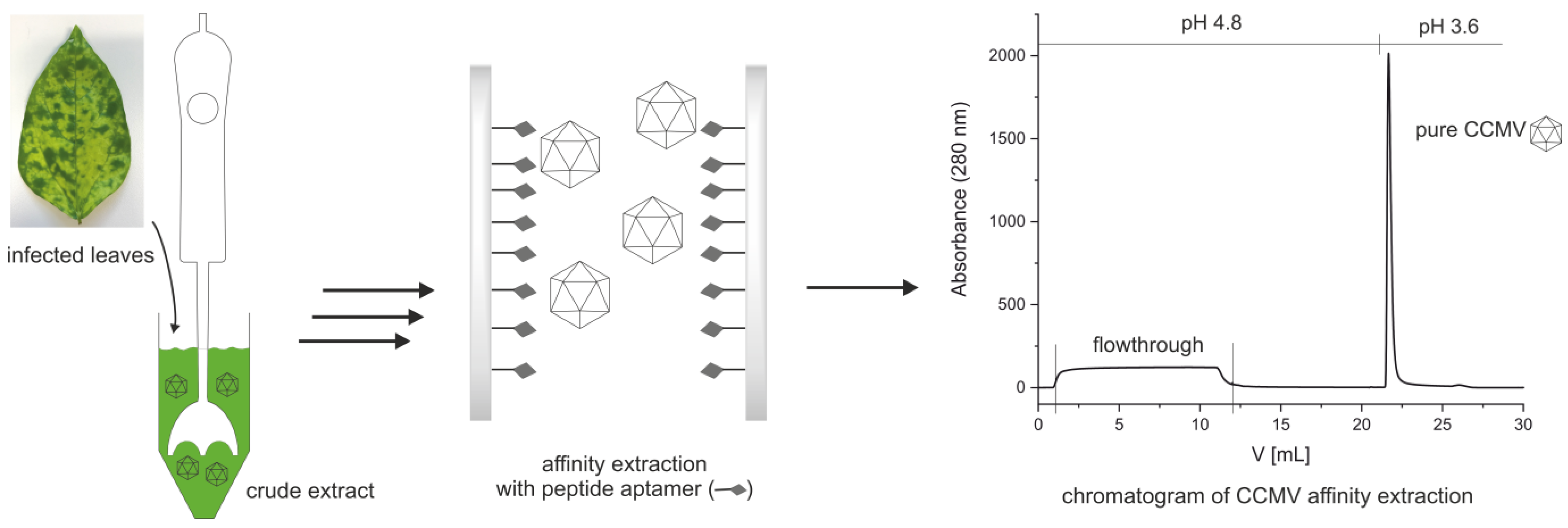 Viruses 15 00697 g002 Viruses 15 00697 g002