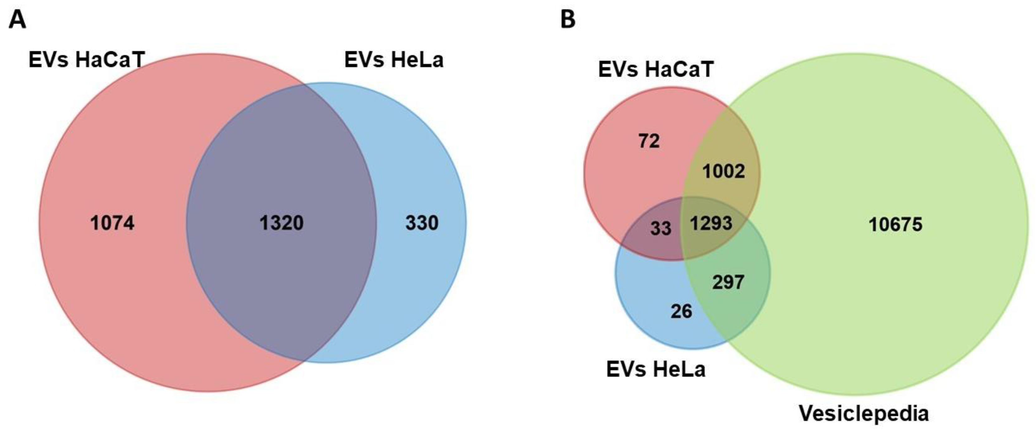 Viruses 15 00702 g002 Viruses 15 00702 g002