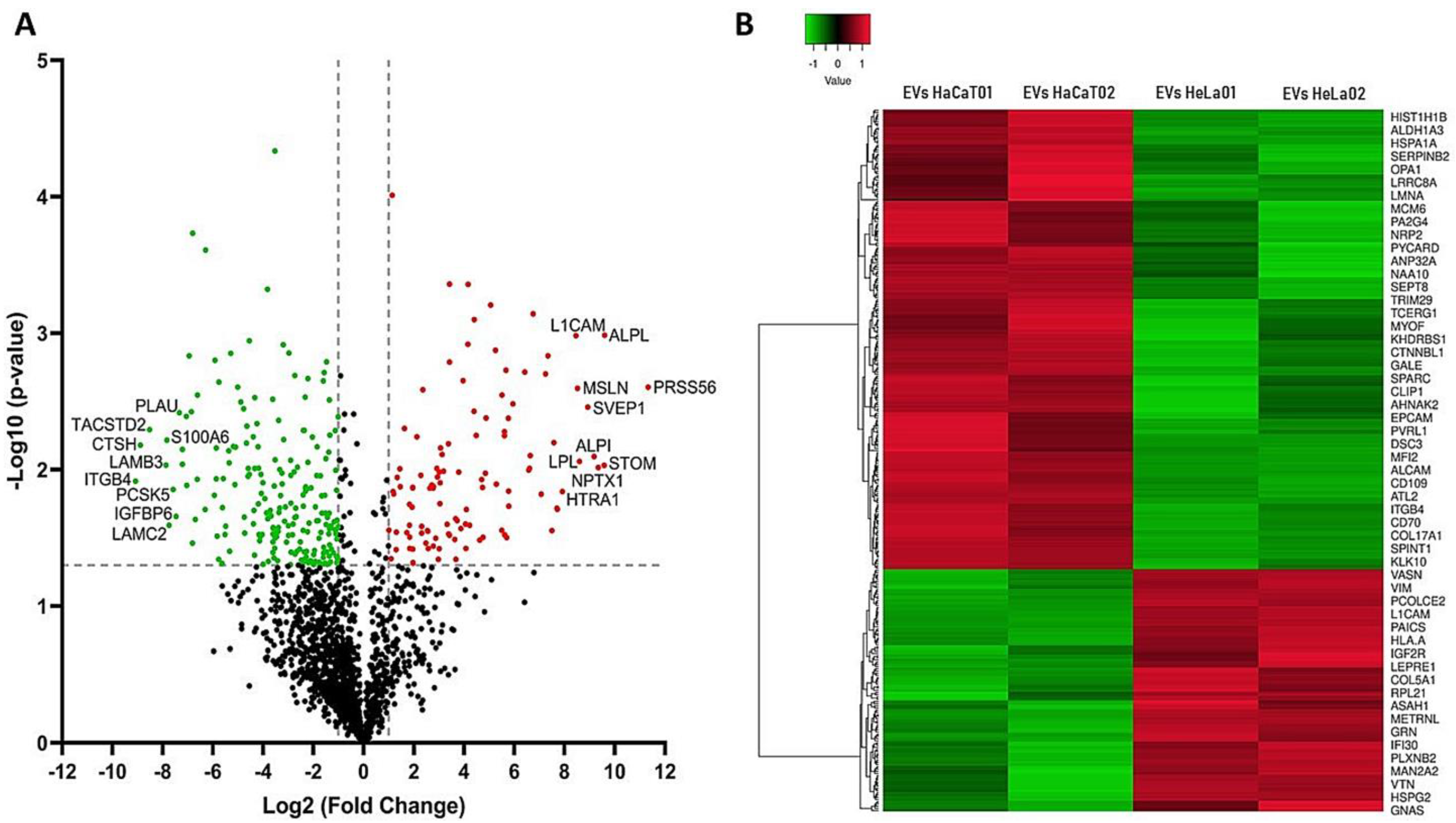 Viruses 15 00702 g003 Viruses 15 00702 g003