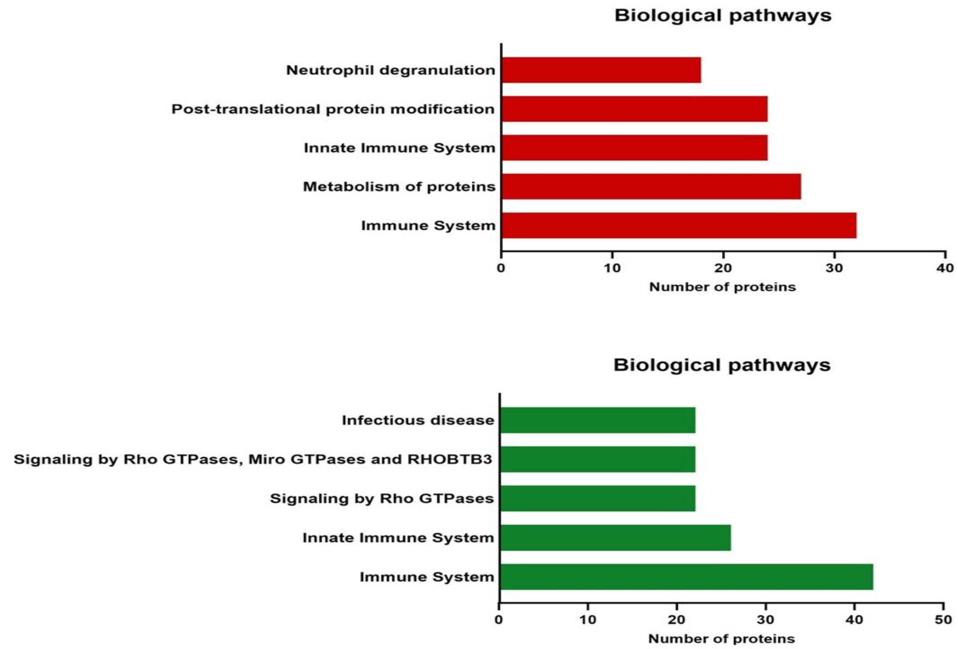 Viruses 15 00702 g005 Viruses 15 00702 g005