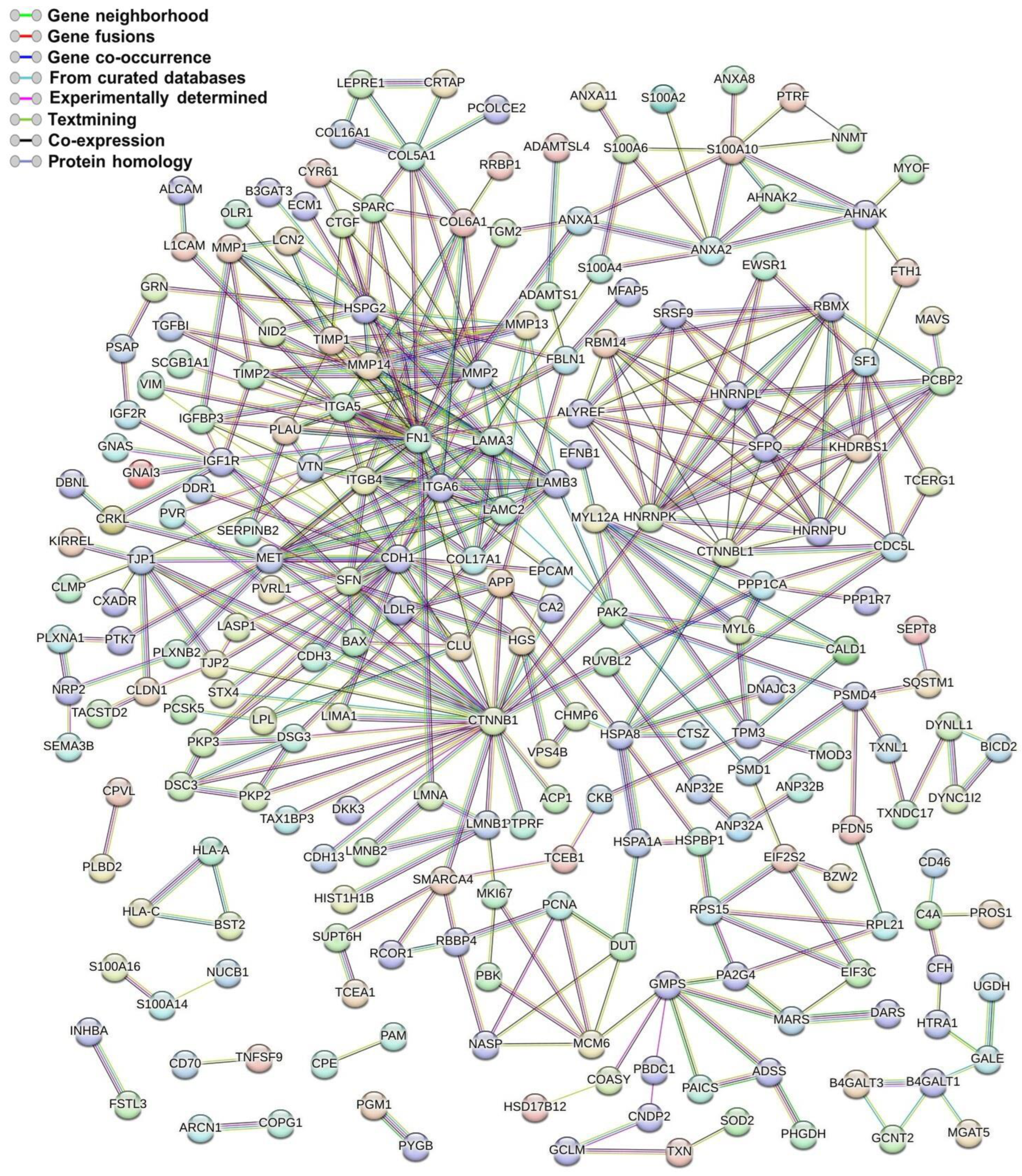 Viruses 15 00702 g006 Viruses 15 00702 g006