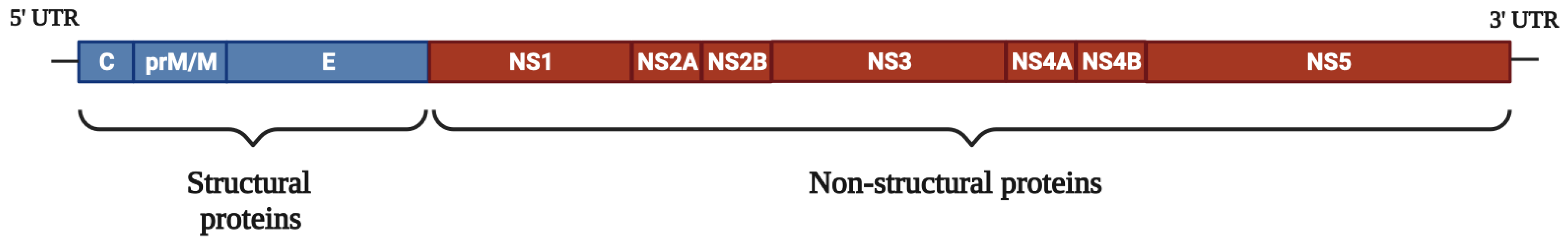 Viruses 15 00705 g001 Viruses 15 00705 g001
