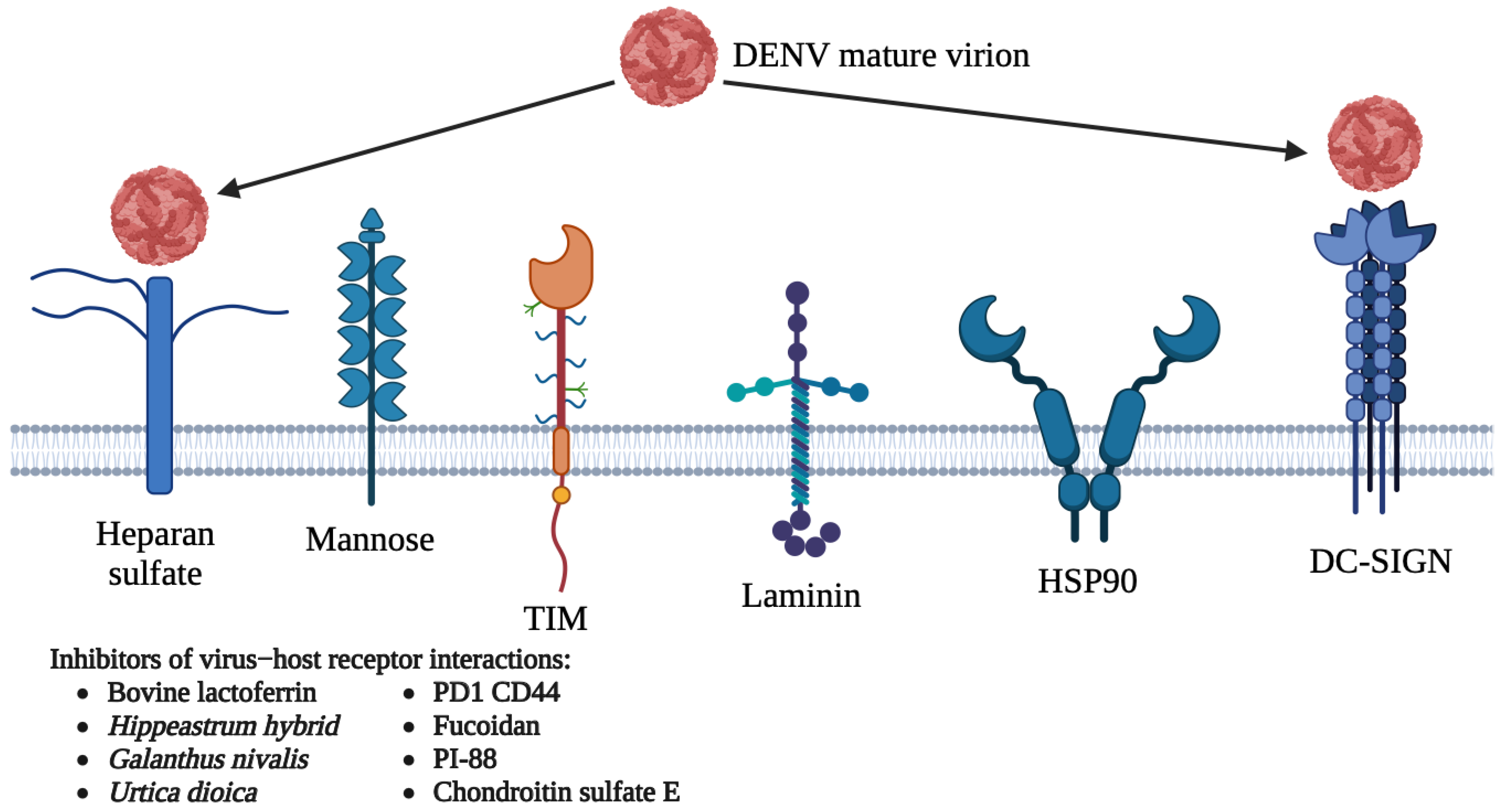 Viruses 15 00705 g003 Viruses 15 00705 g003